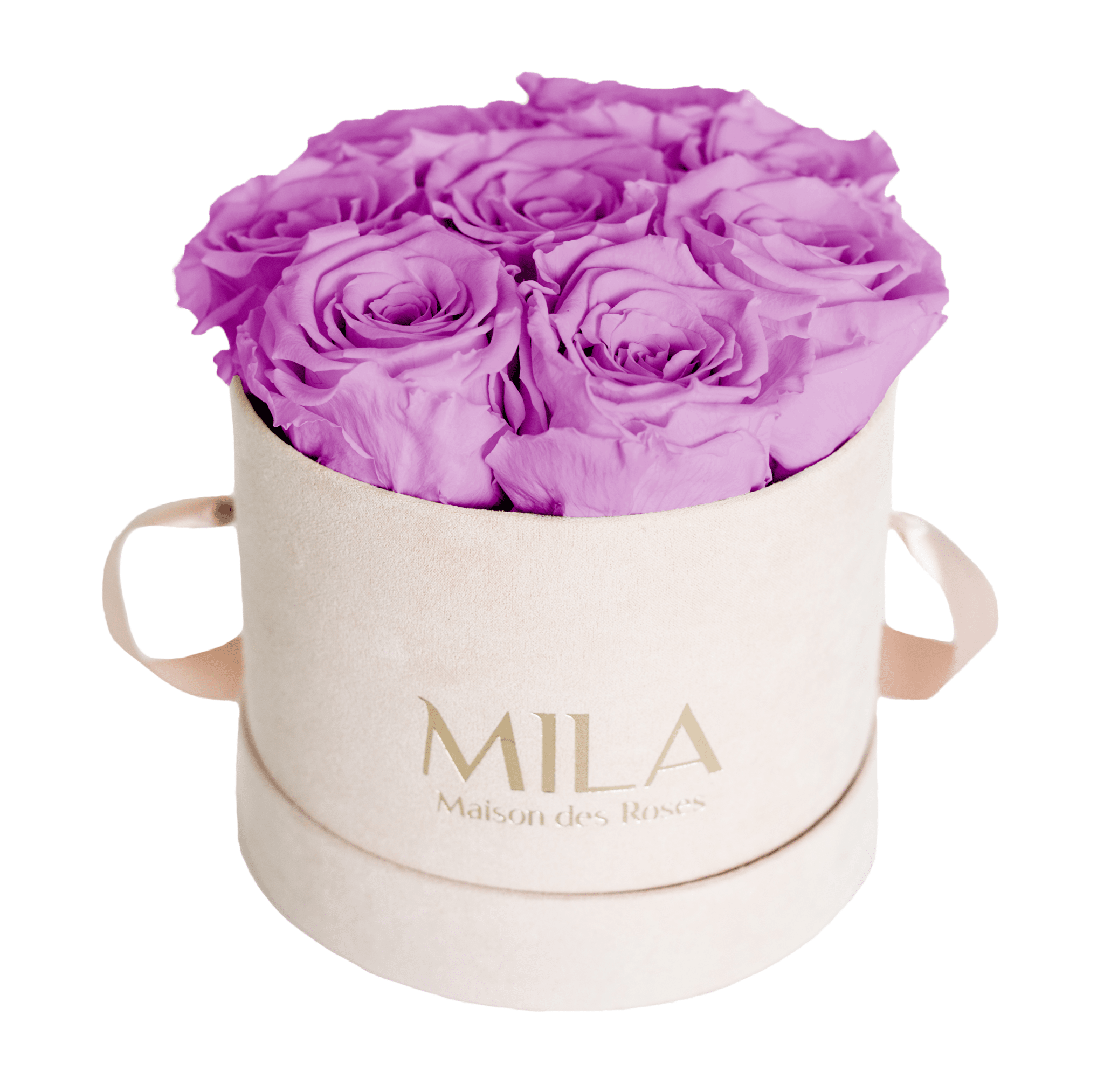 Mila Nude Velvet Small - Mila Rose