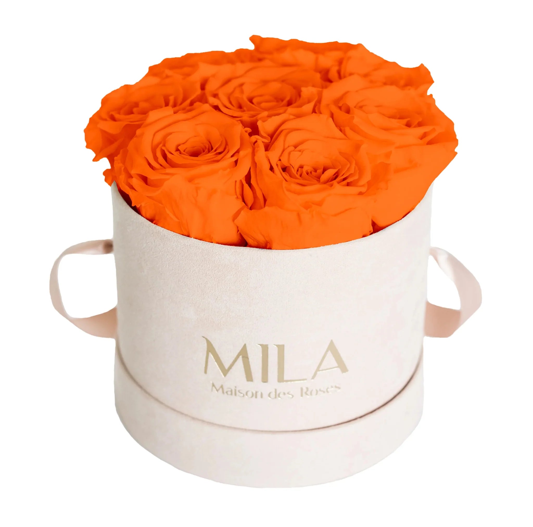 Mila Nude Velvet Small - Mila Rose