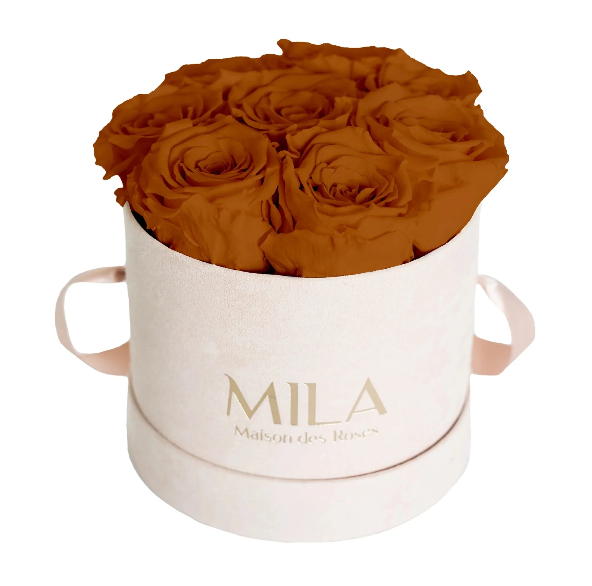 Mila Nude Velvet Small - Mila Rose