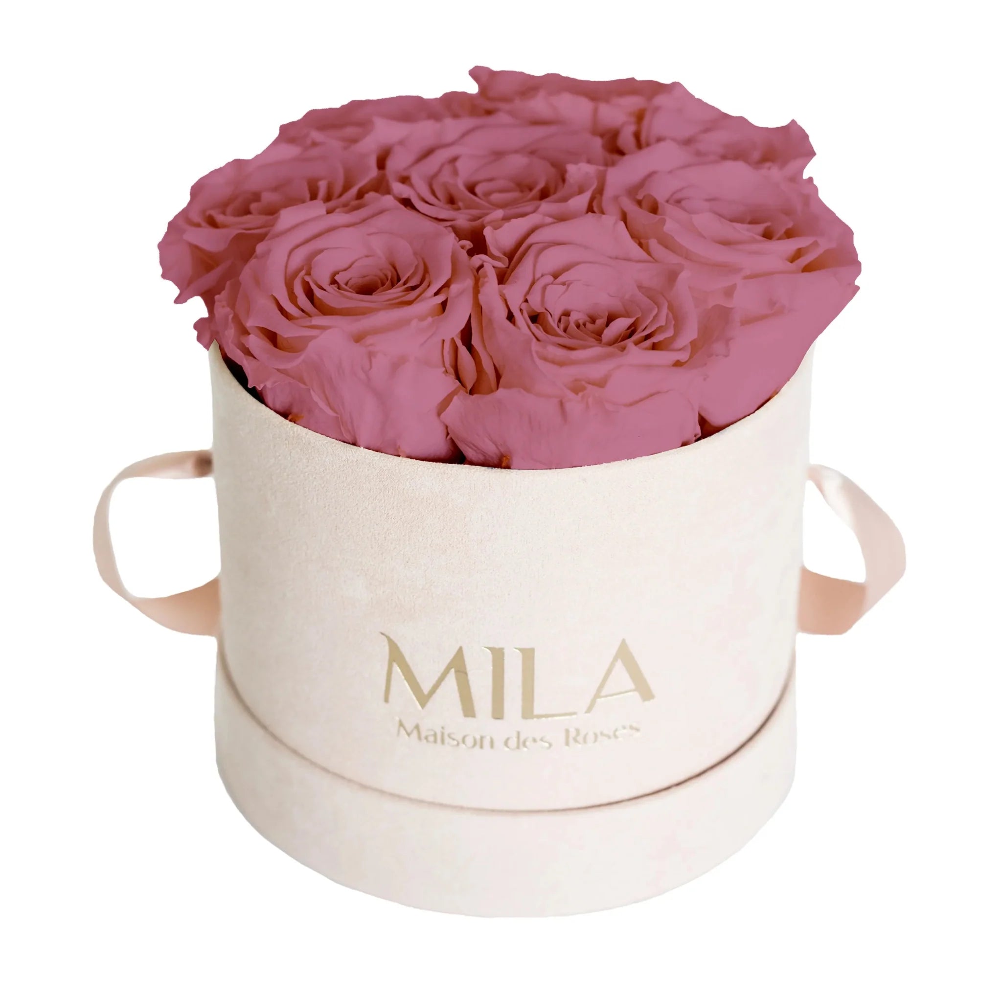 Mila Nude Velvet Small - Mila Rose