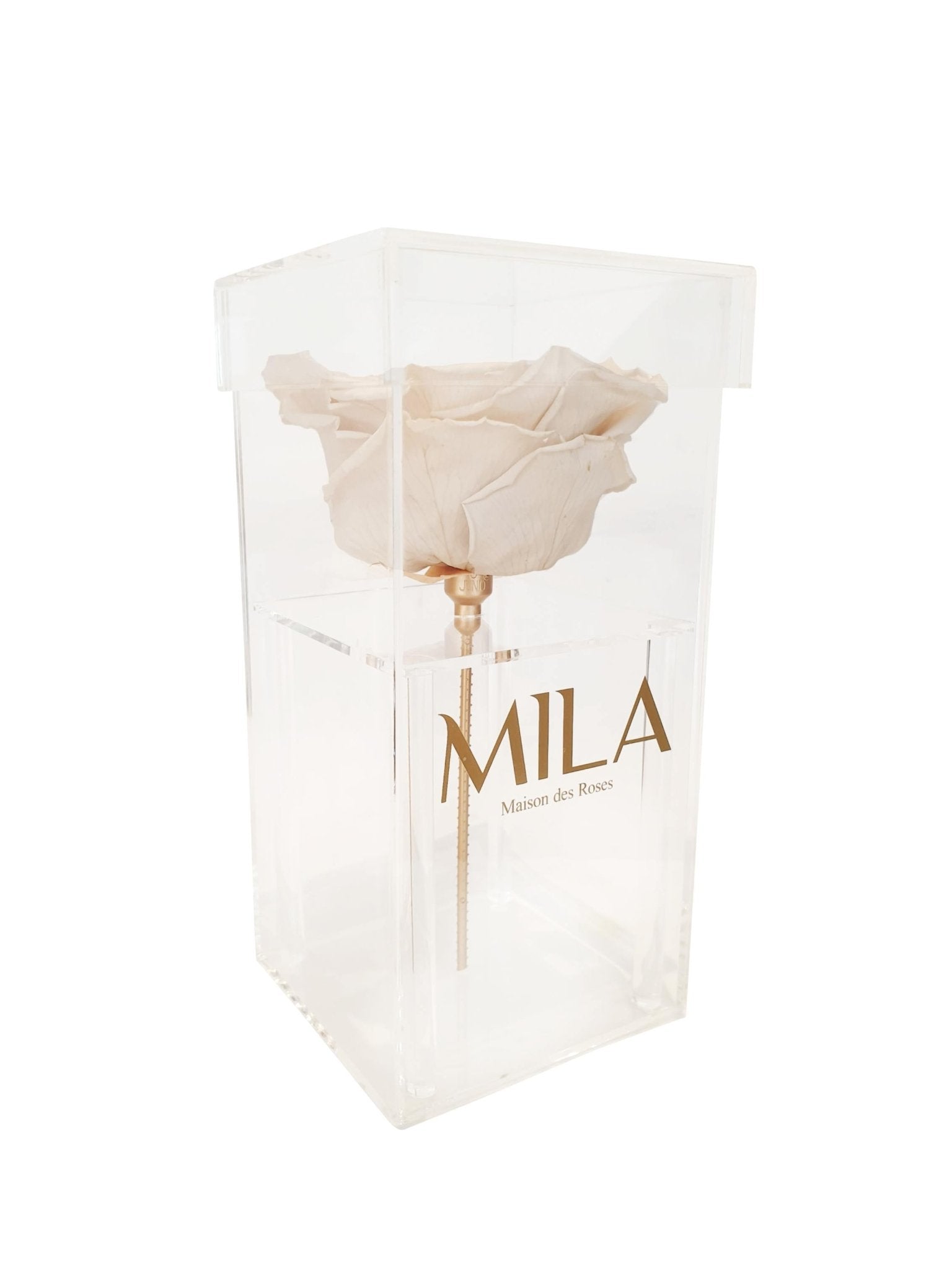 Mila Single XXL - Mila Rose