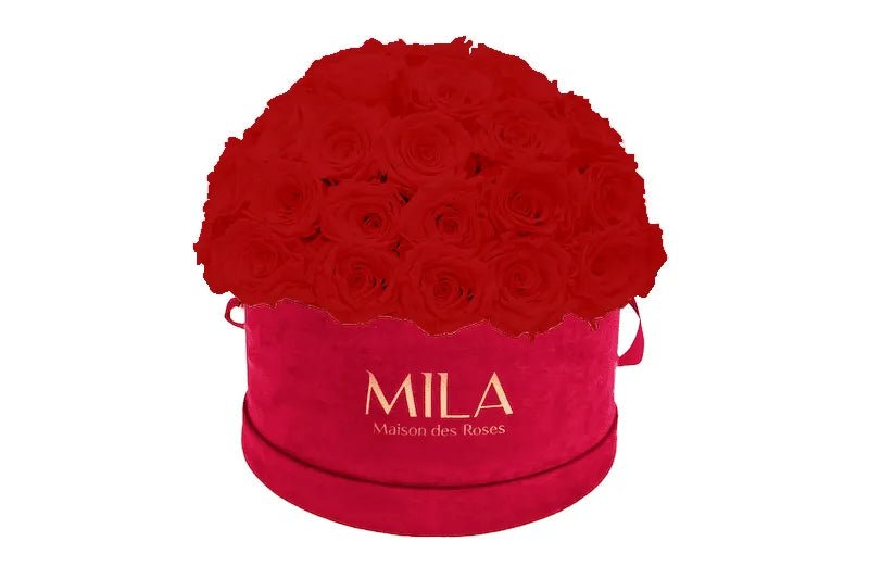 Mila Velour Large burgundy dome - Mila Rose
