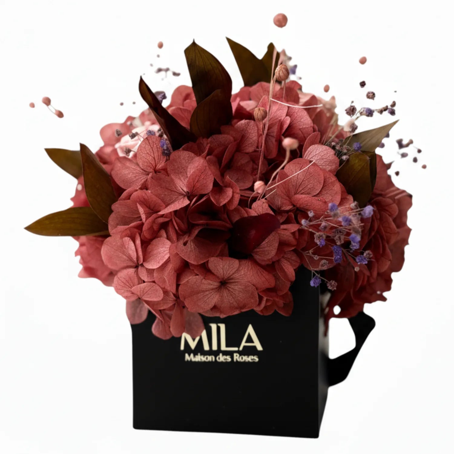 Mini Hortensia - Mila Rose