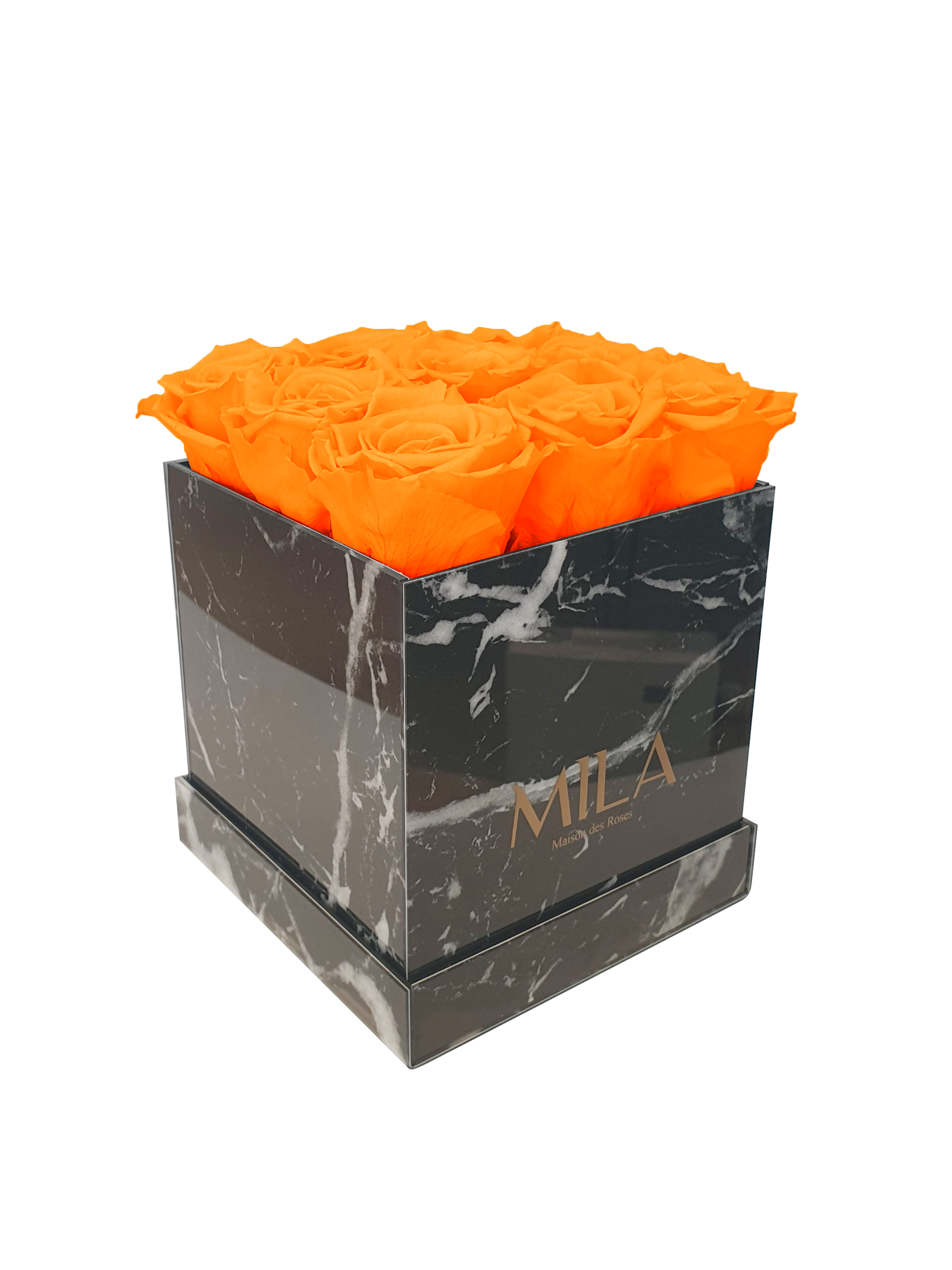 Mila Acrylic Black Marble