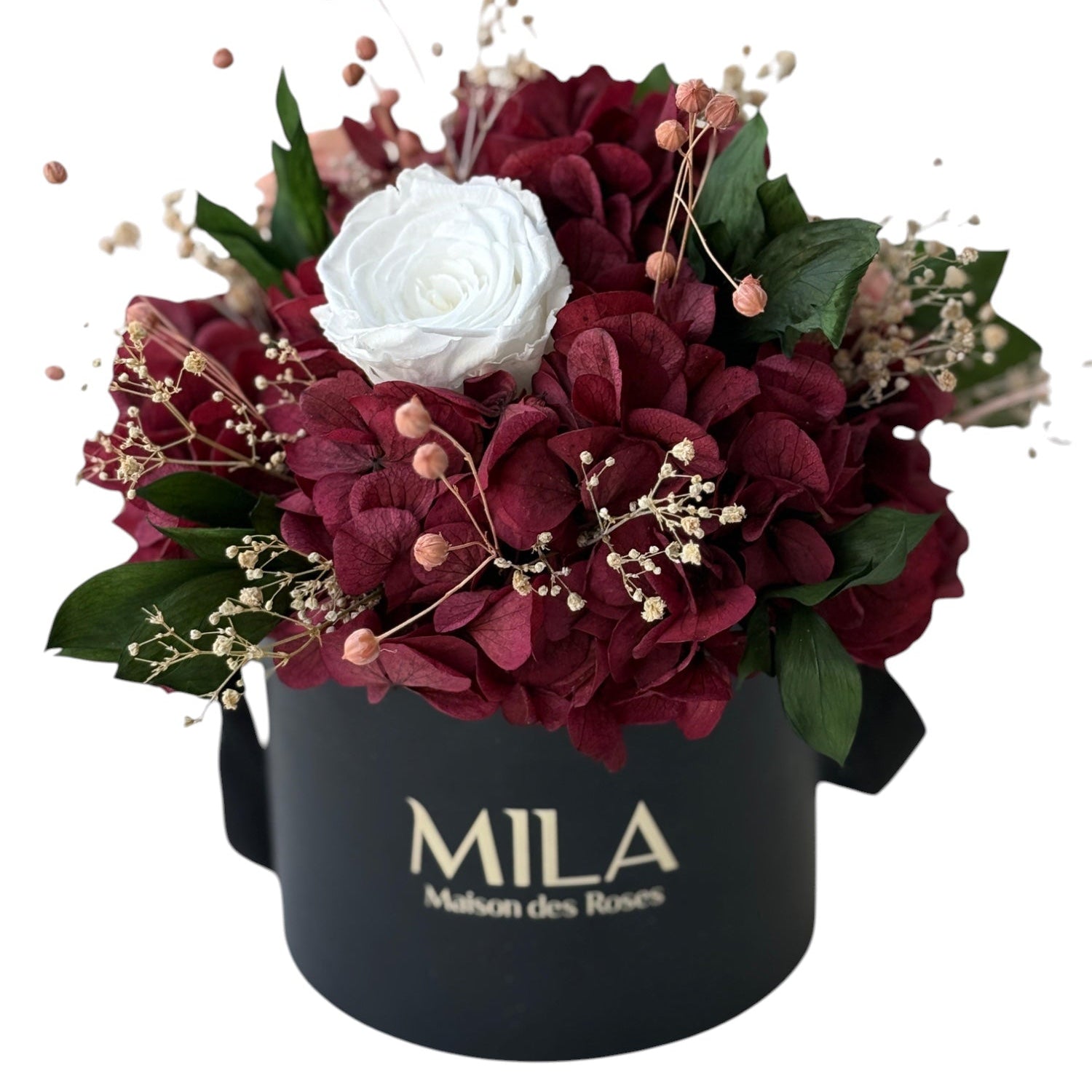 Small Hortensia - My Store