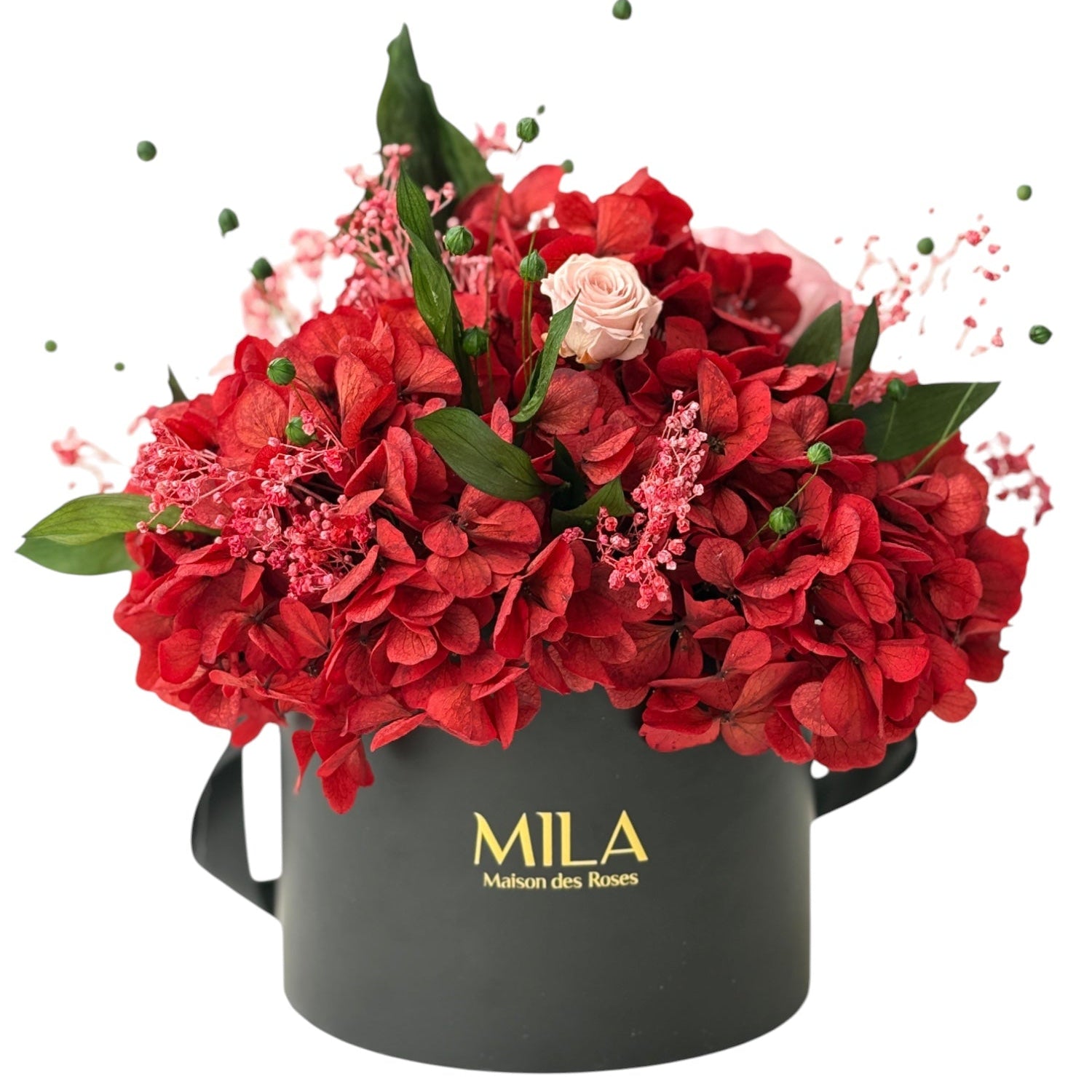 Small Hortensia - My Store