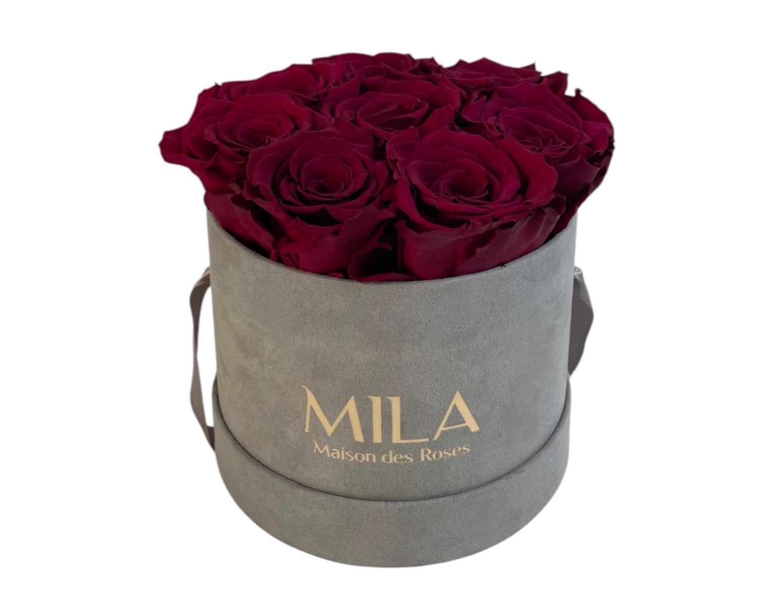 Small Velour Grey - My Store