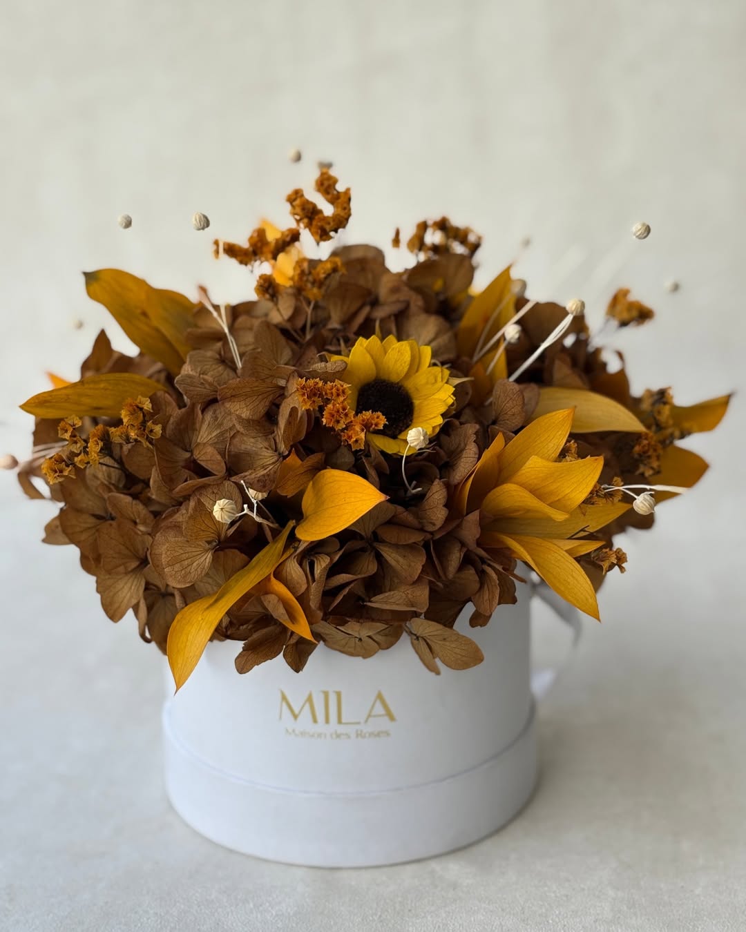 Comment prendre soin de vos Roses Éternelles ? - Mila Rose