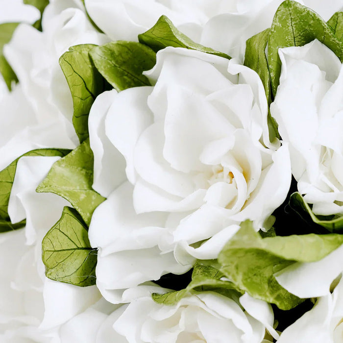 Composition - Mila Rose