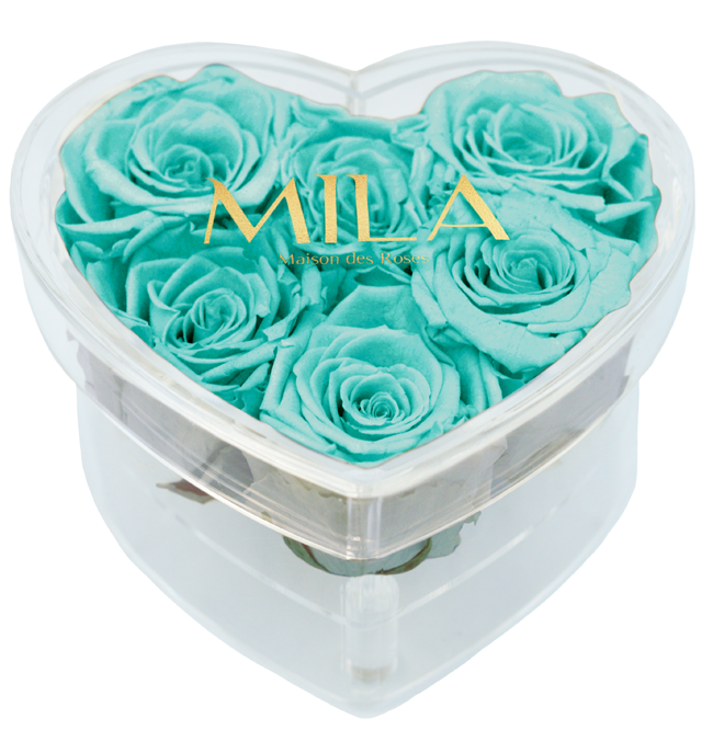 Mila Acrylic Small Heart