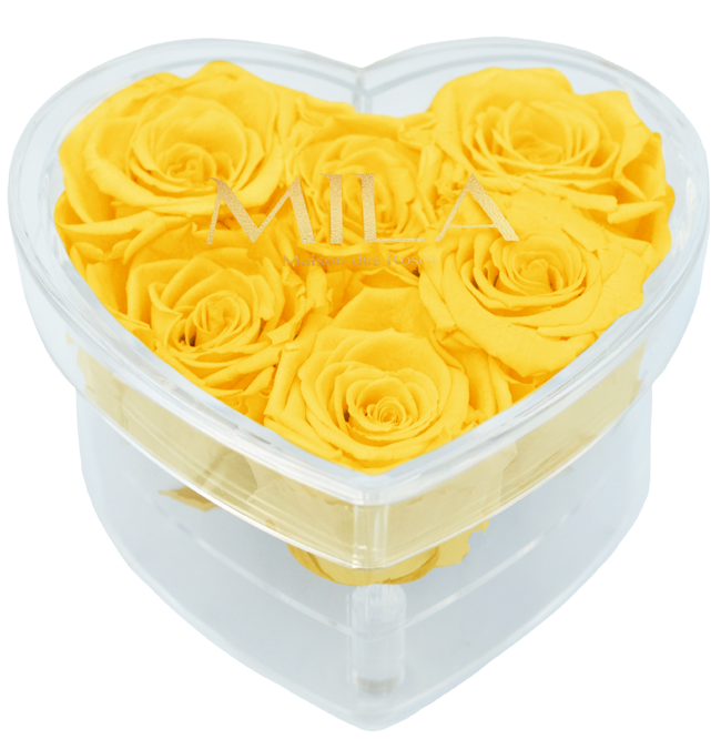 Mila Acrylic Small Heart