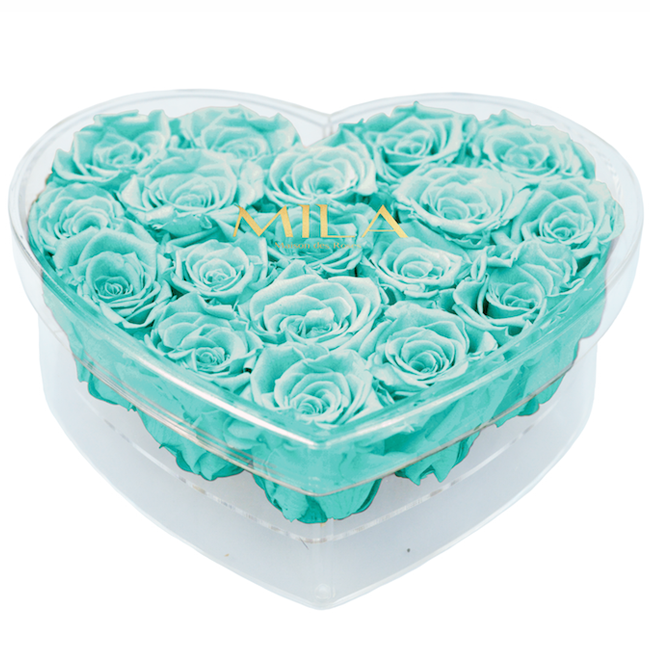 Mila Acrylic Large Heart