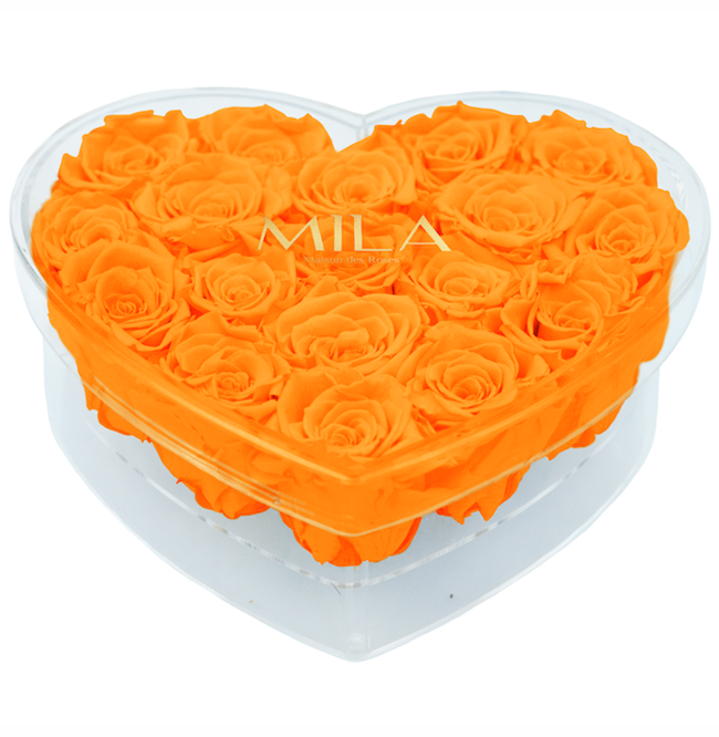 Mila Acrylic Large Heart