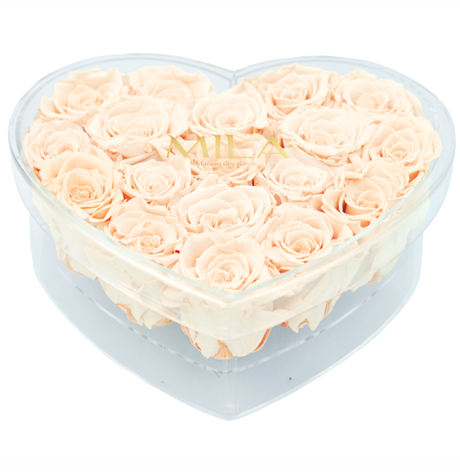 Mila Acrylic Large Heart