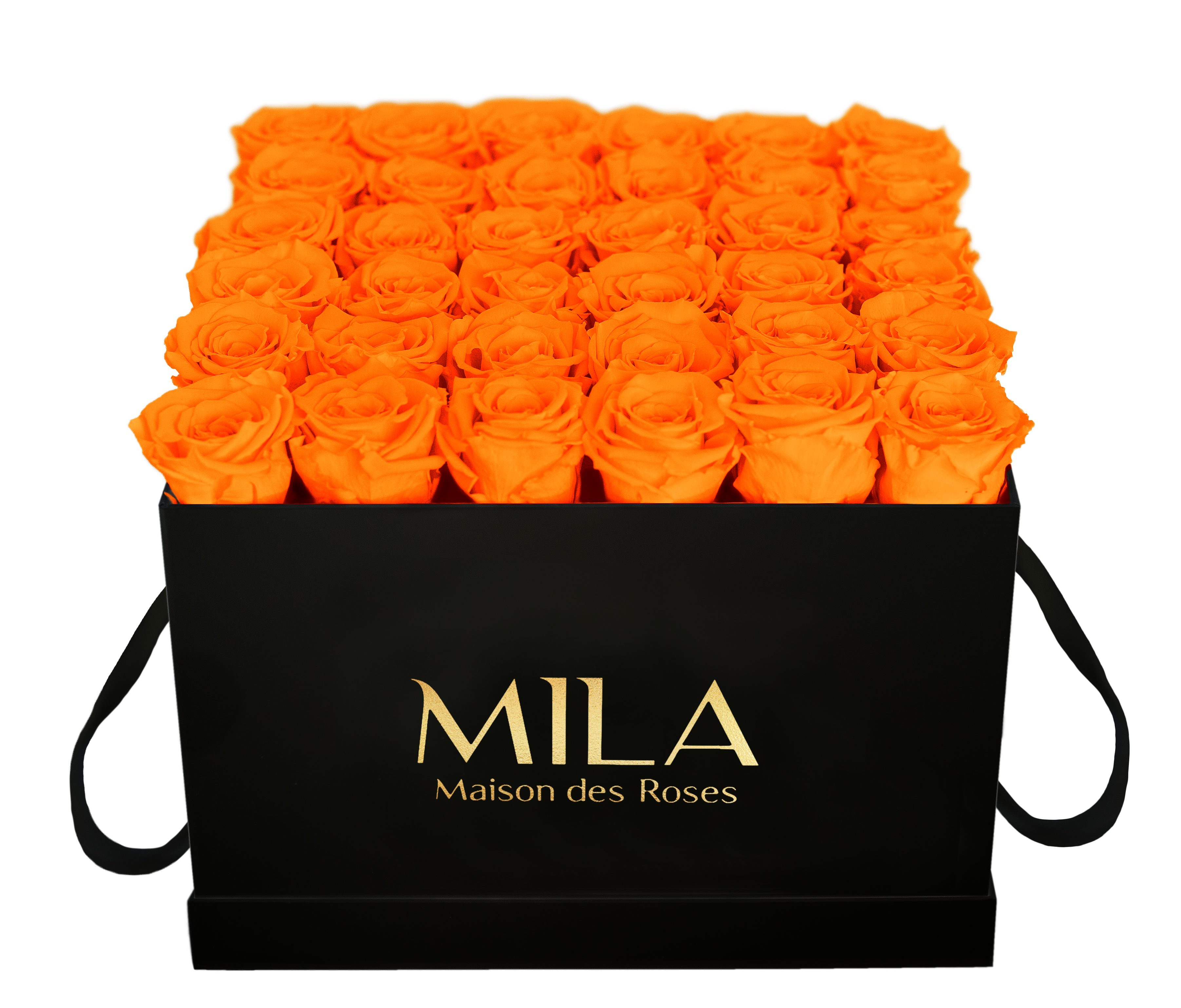 Mila Classique Luxe