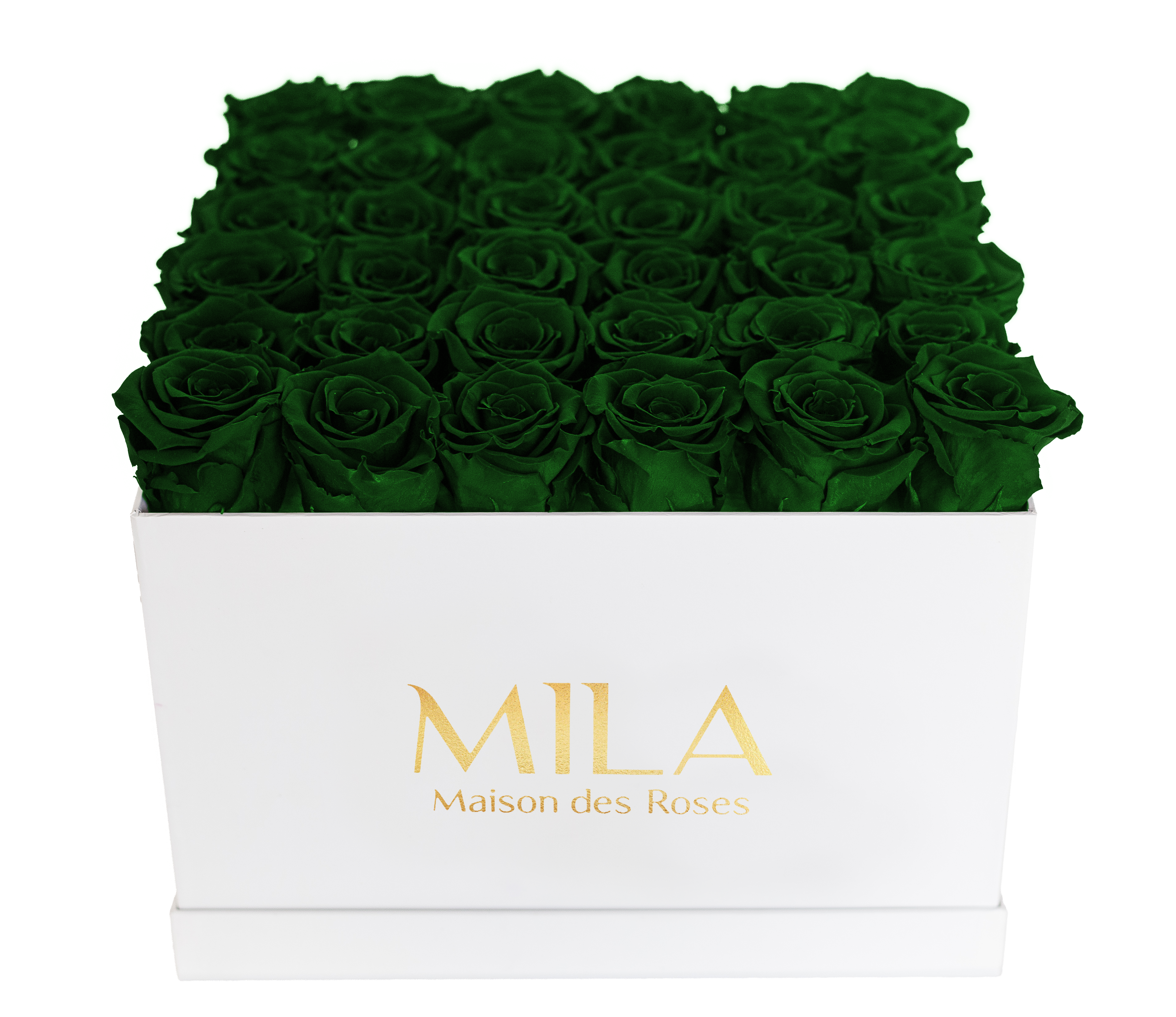 Mila Classique Luxe