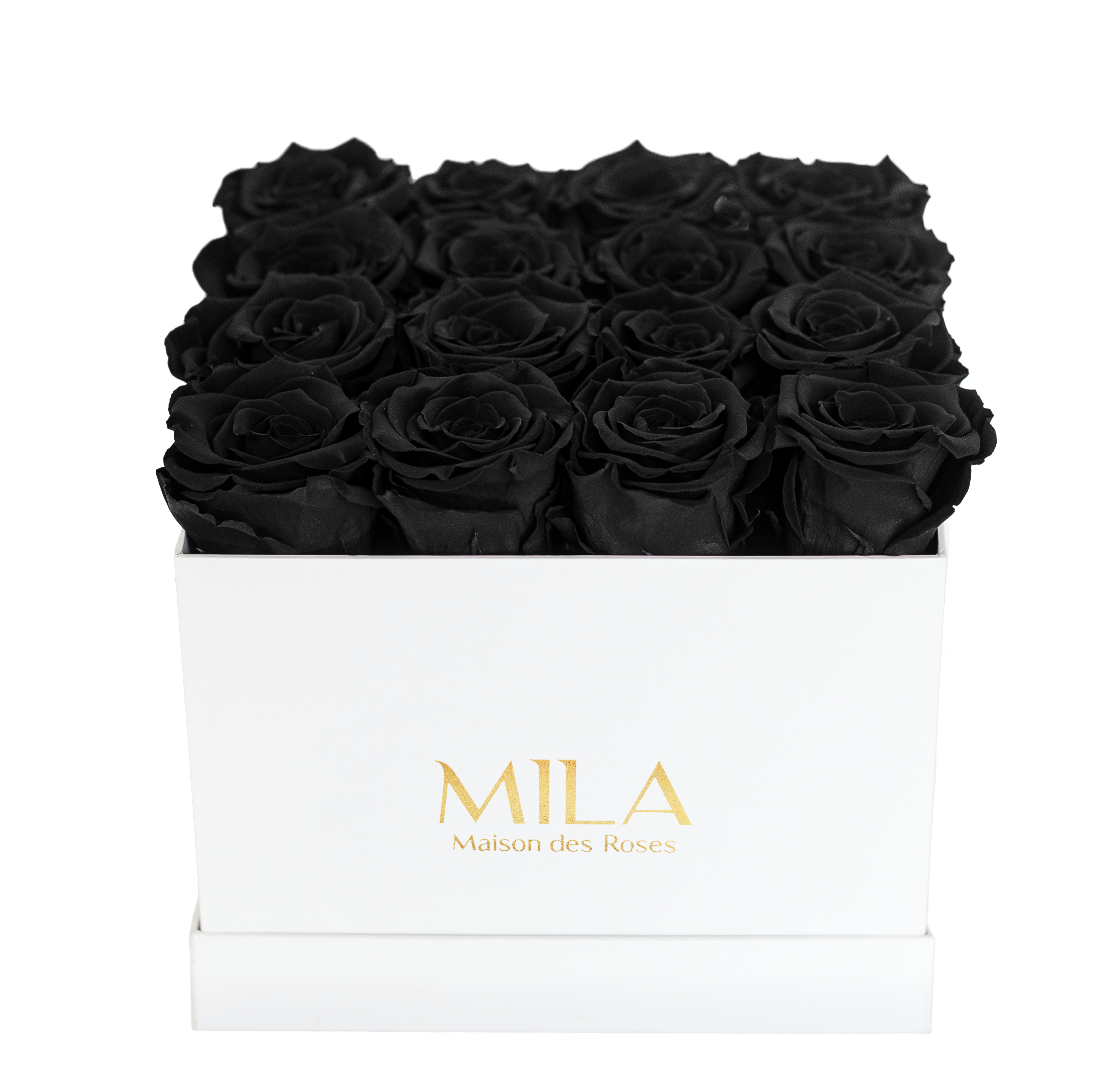 Mila Classique Medium