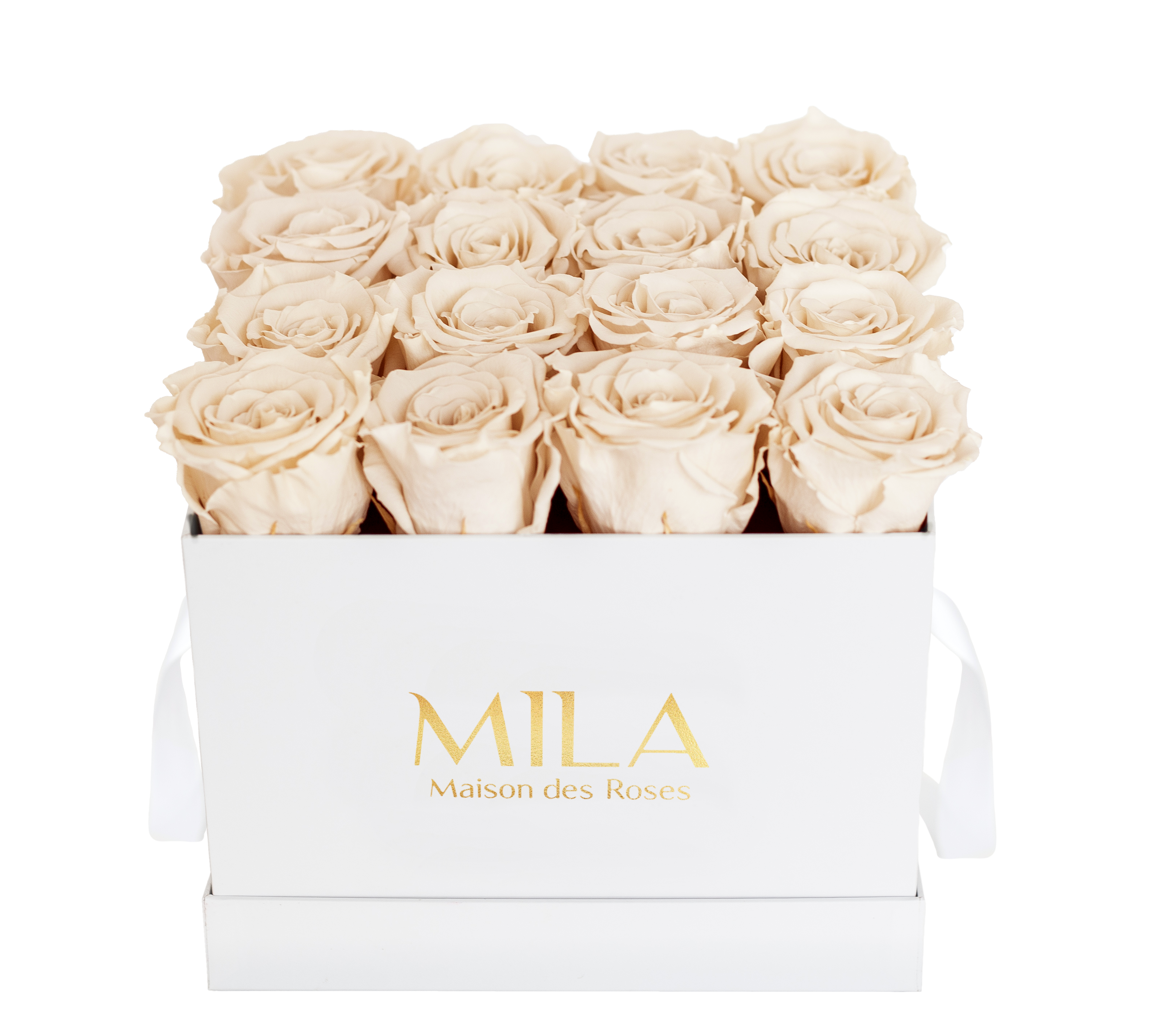 Mila Classique Medium