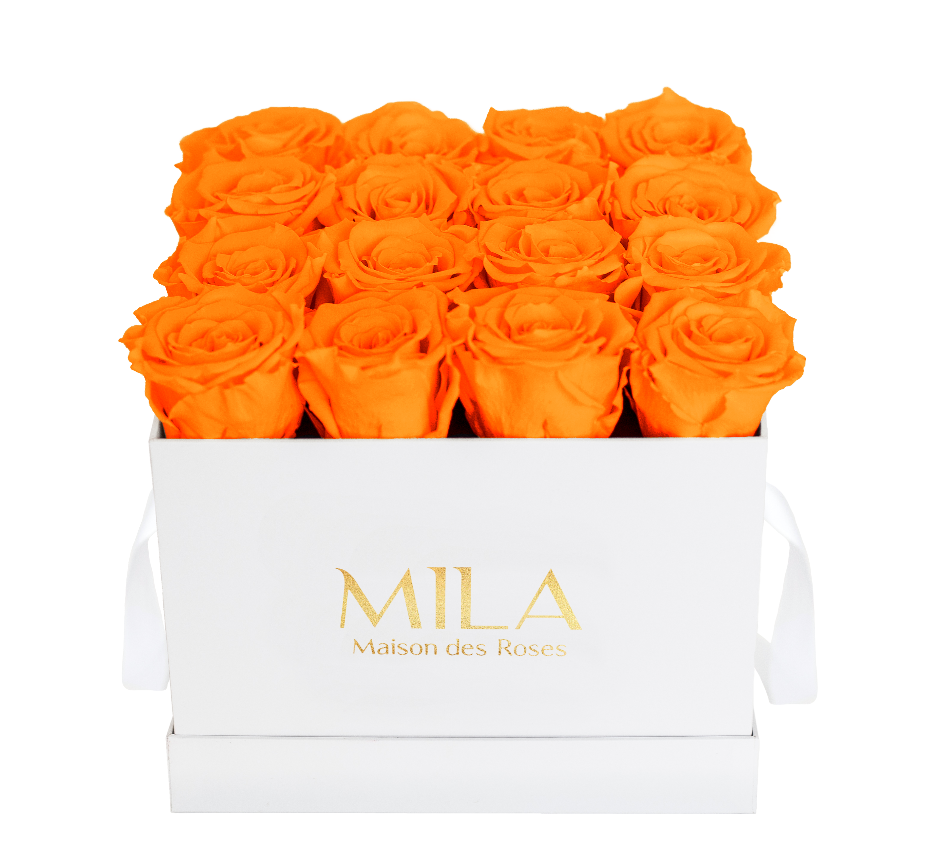 Mila Classique Medium