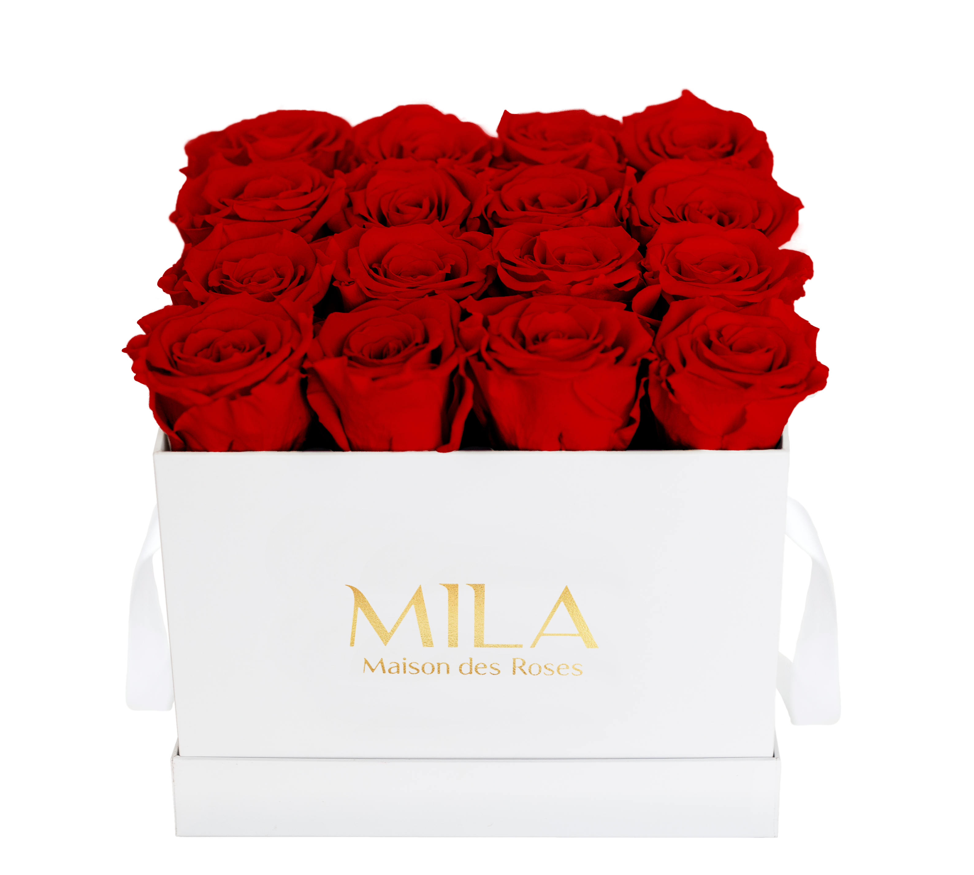 Mila Classique Medium
