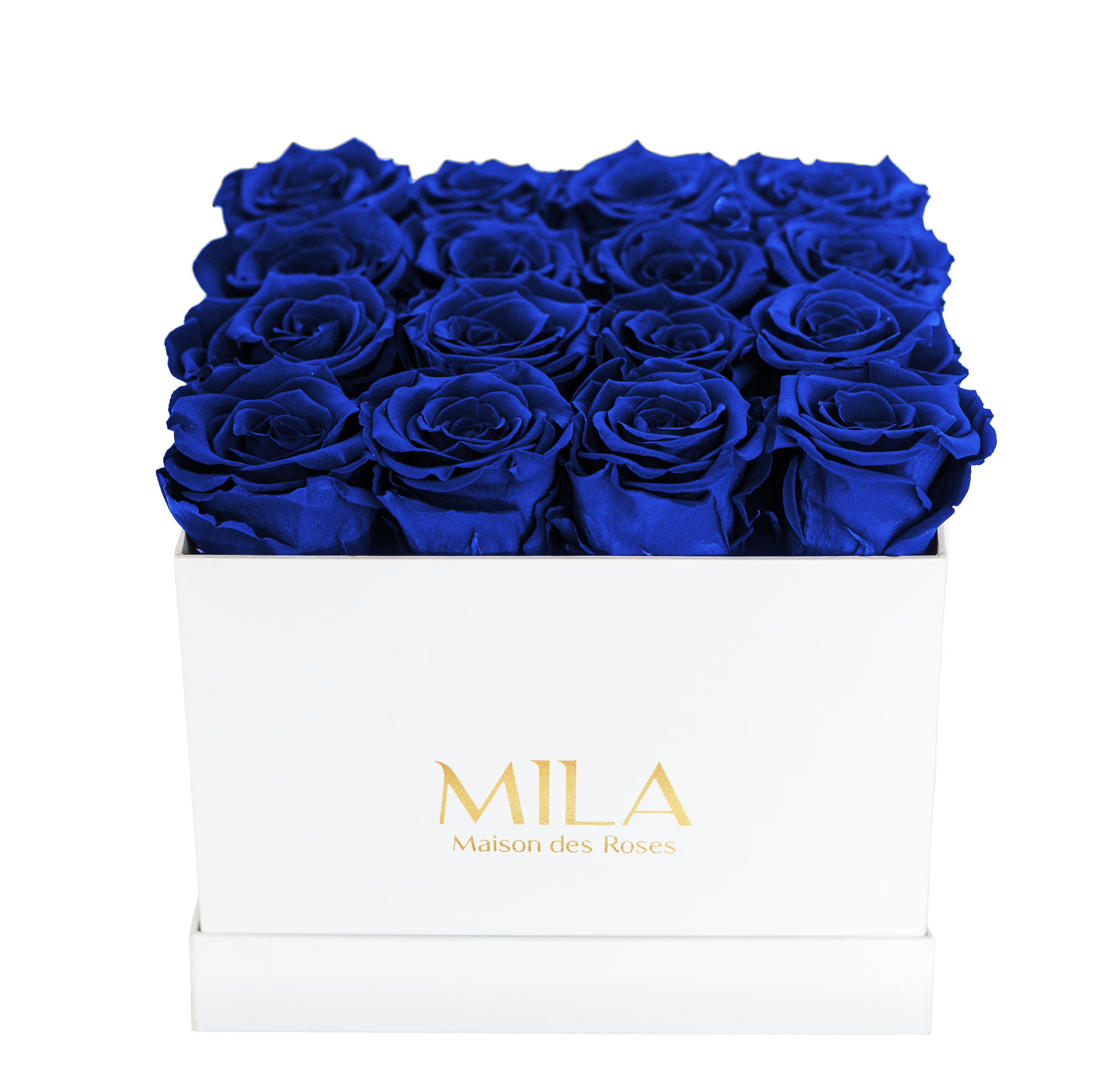 Mila Classique Medium