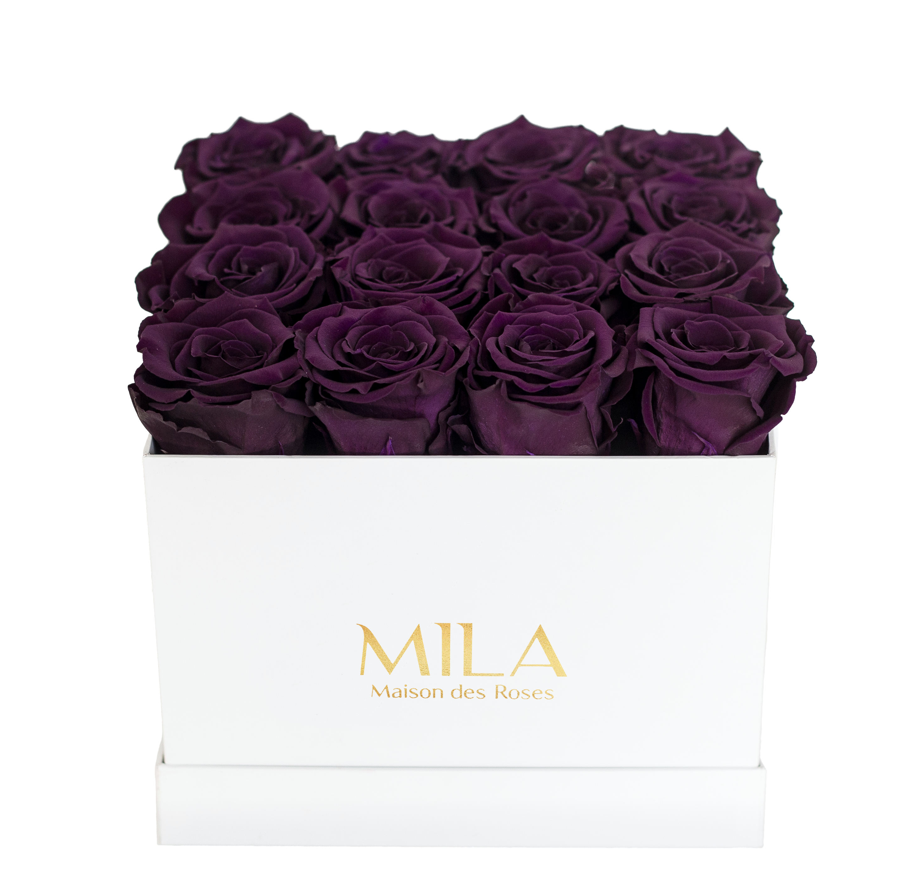 Mila Classique Medium