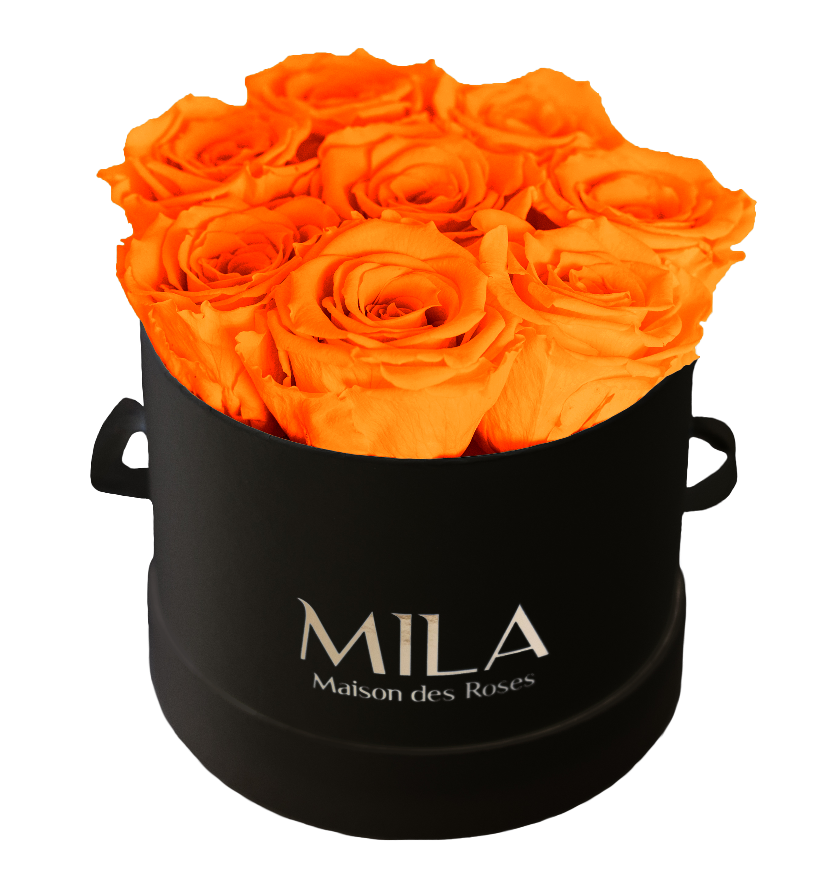 Mila Classique Small