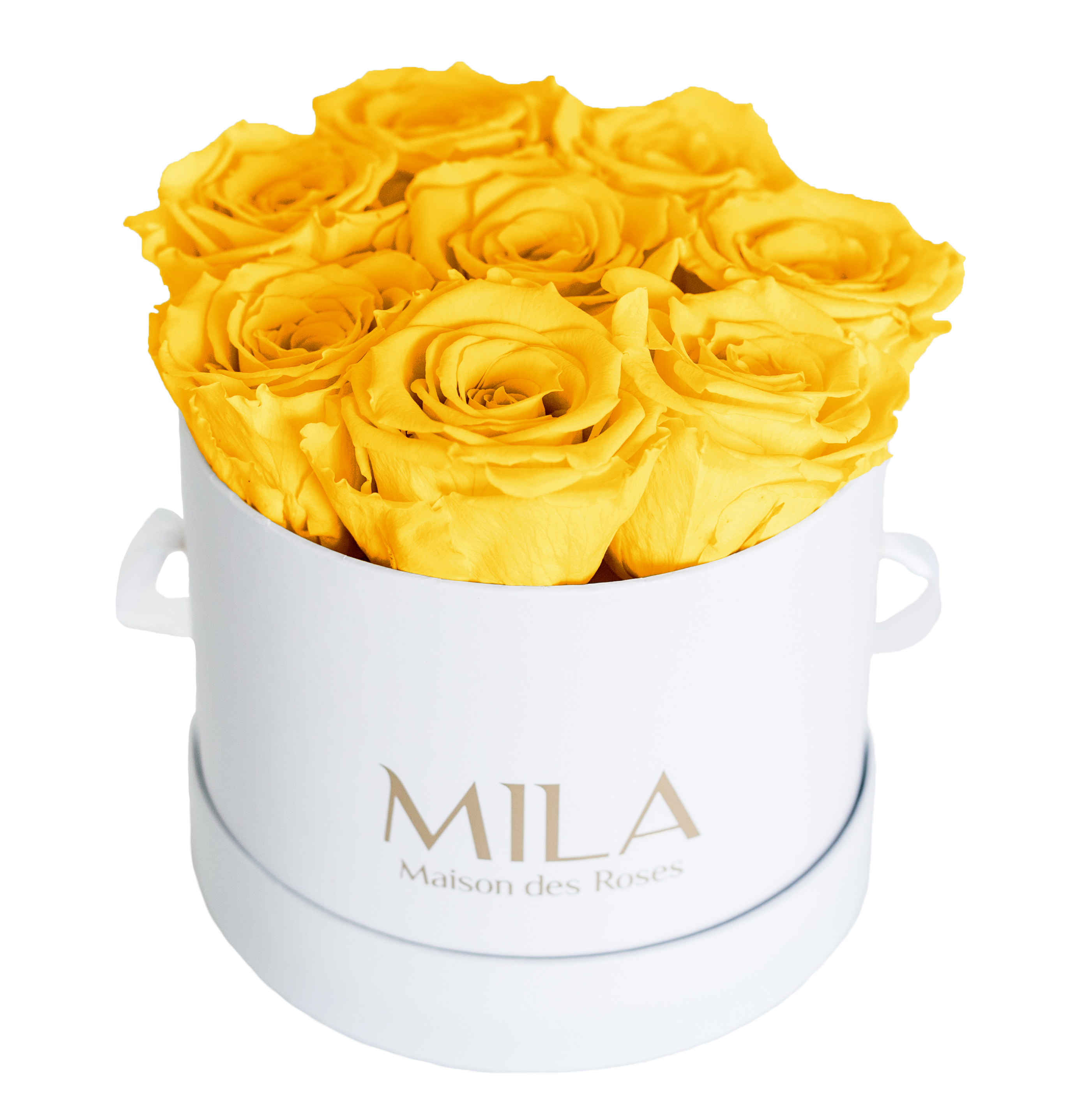 Mila Classique Small