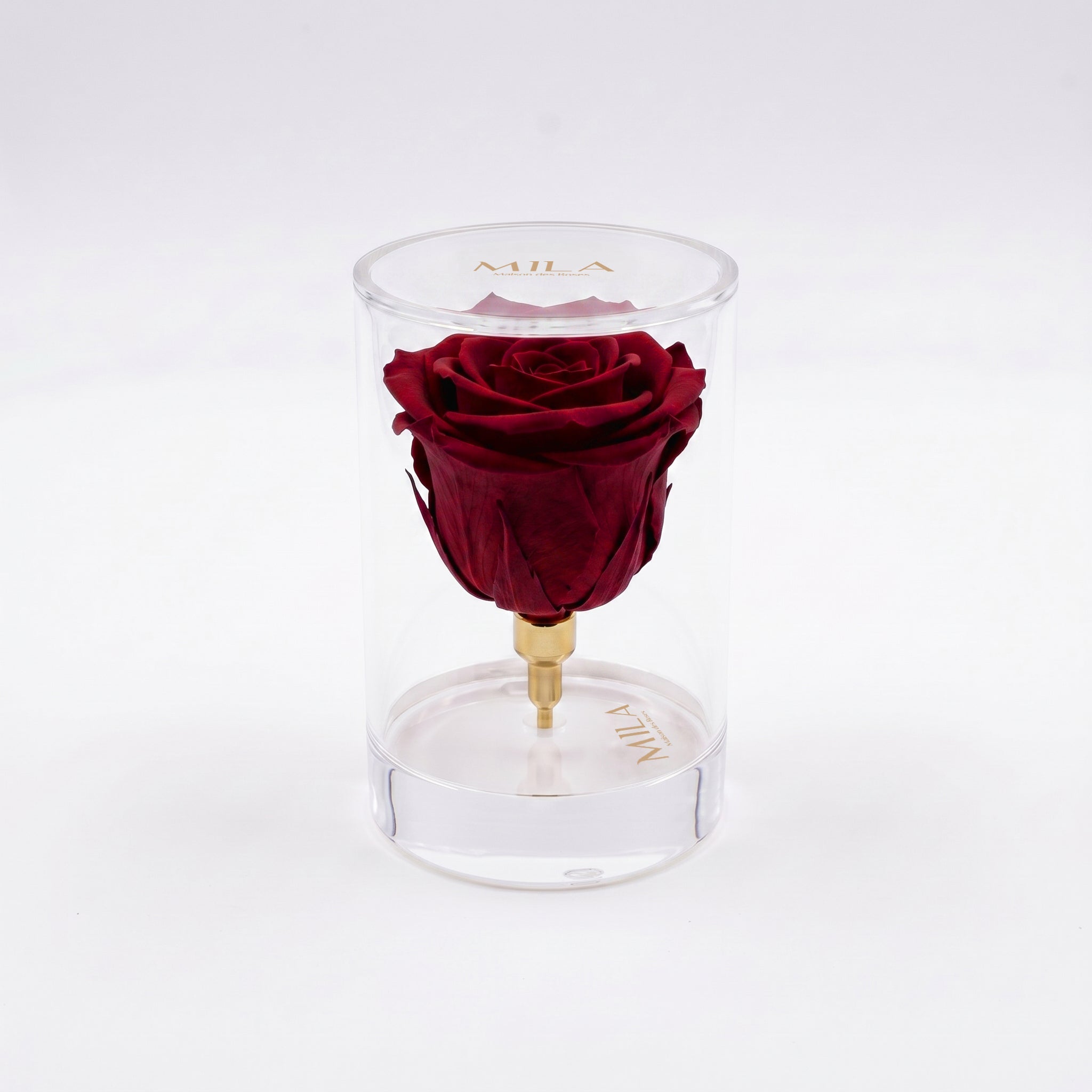 La Solitaire - MILA Maison Des Roses