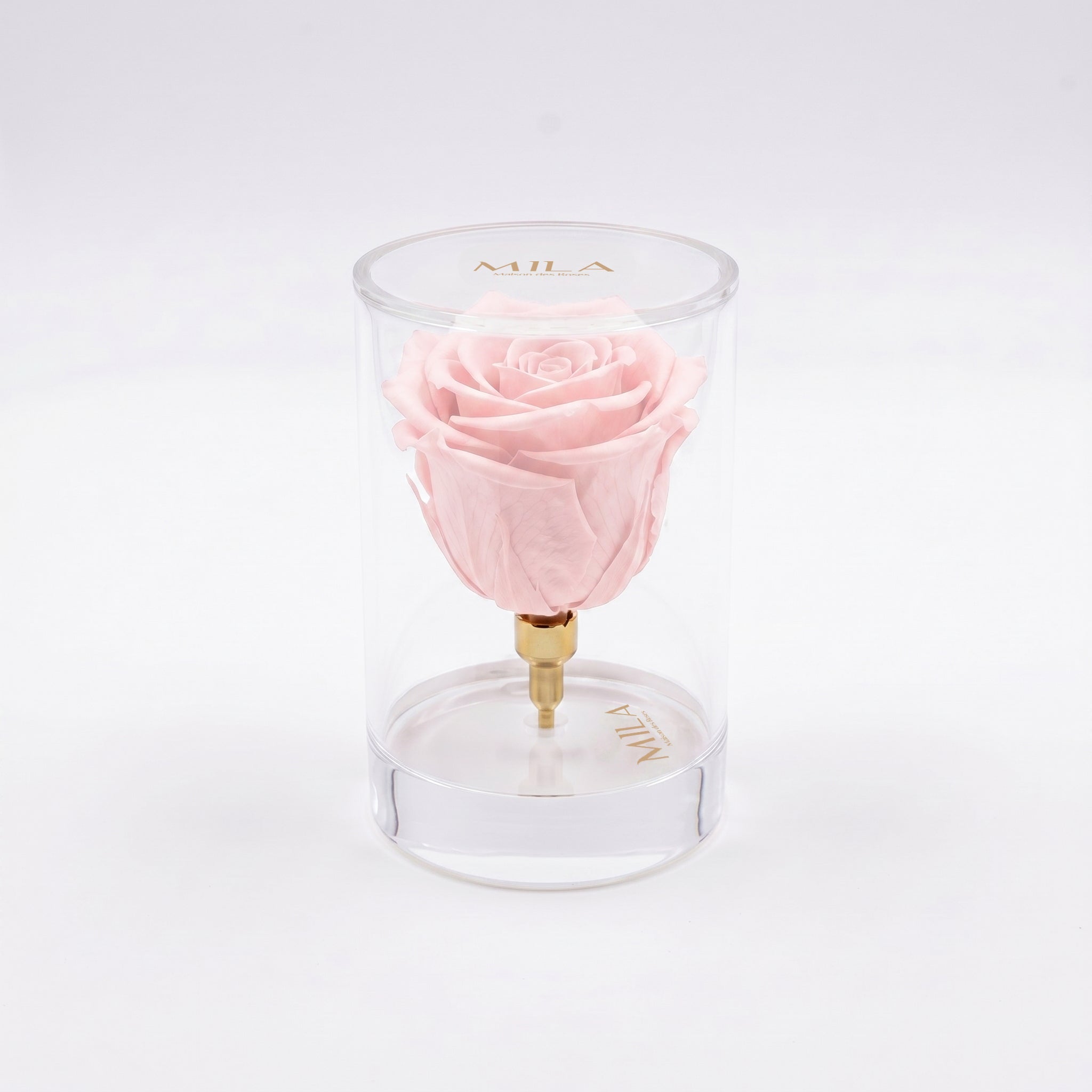 La Solitaire - MILA Maison Des Roses