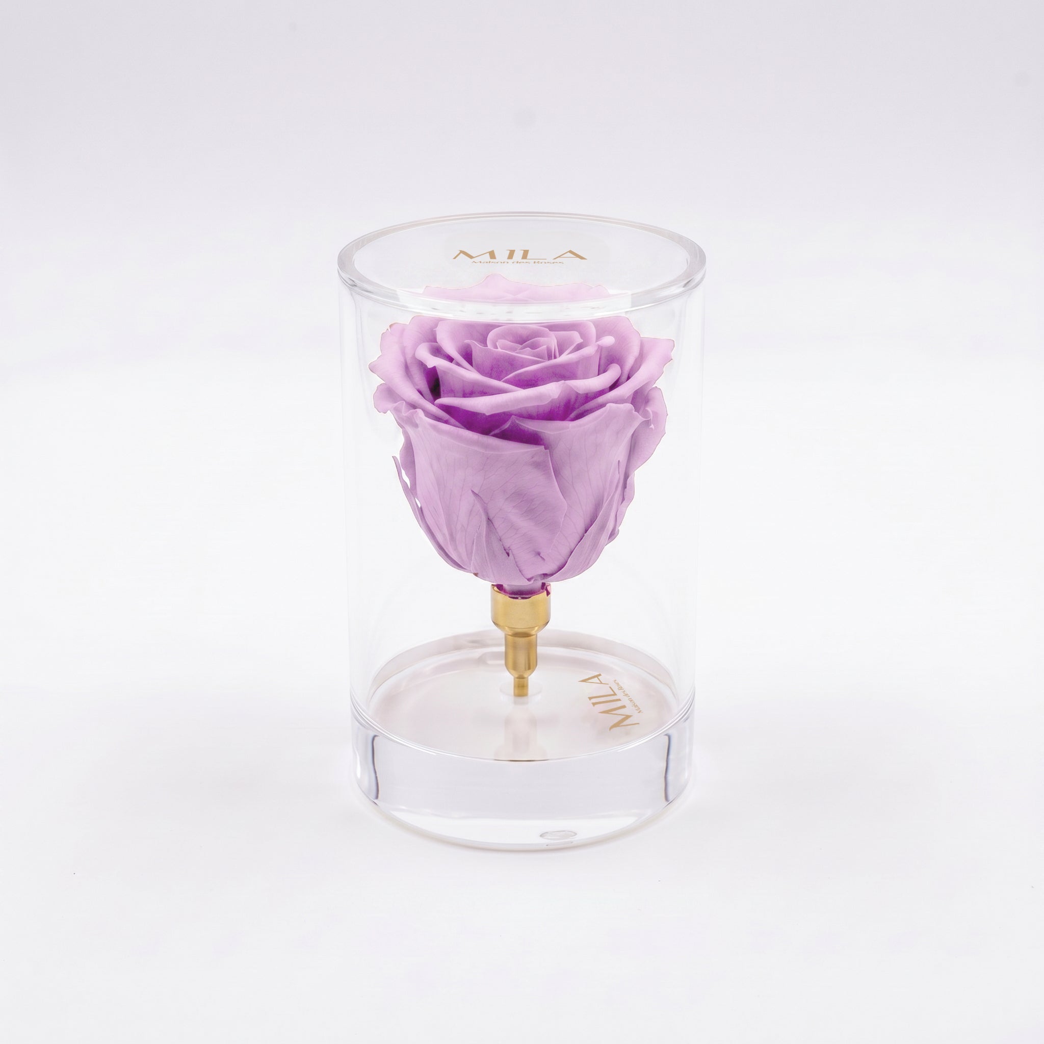 La Solitaire - MILA Maison Des Roses