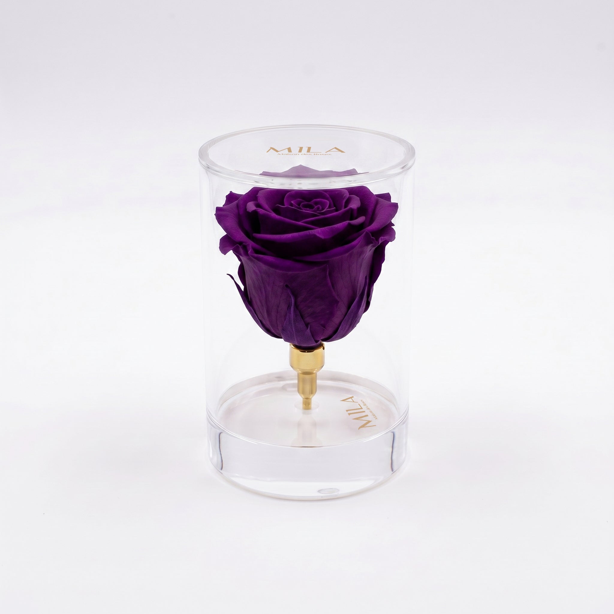 La Solitaire - MILA Maison Des Roses