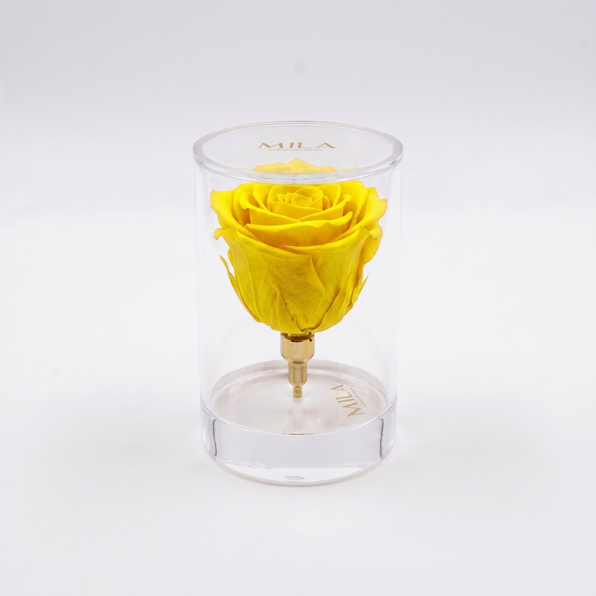 La Solitaire - MILA Maison Des Roses