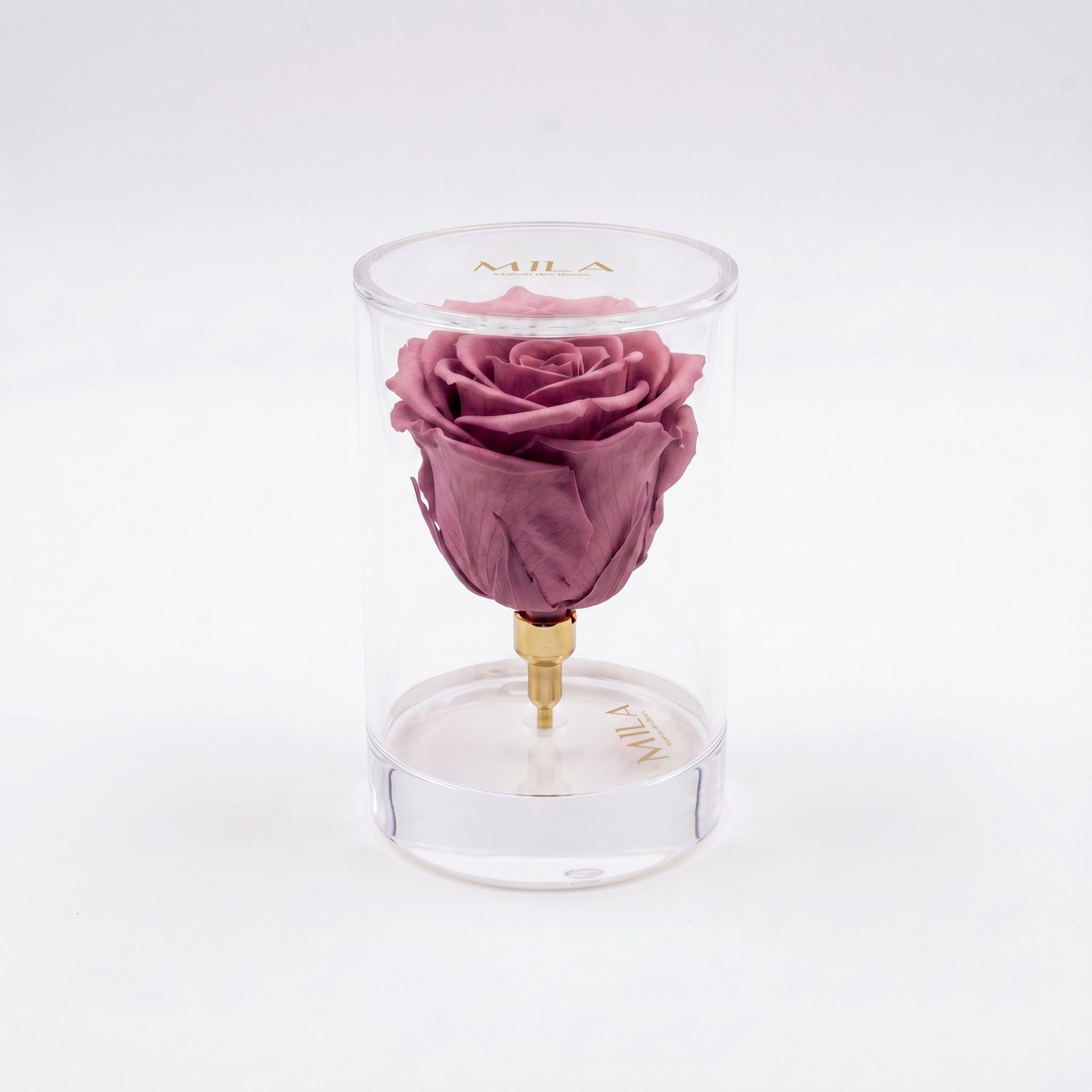 La Solitaire - MILA Maison Des Roses
