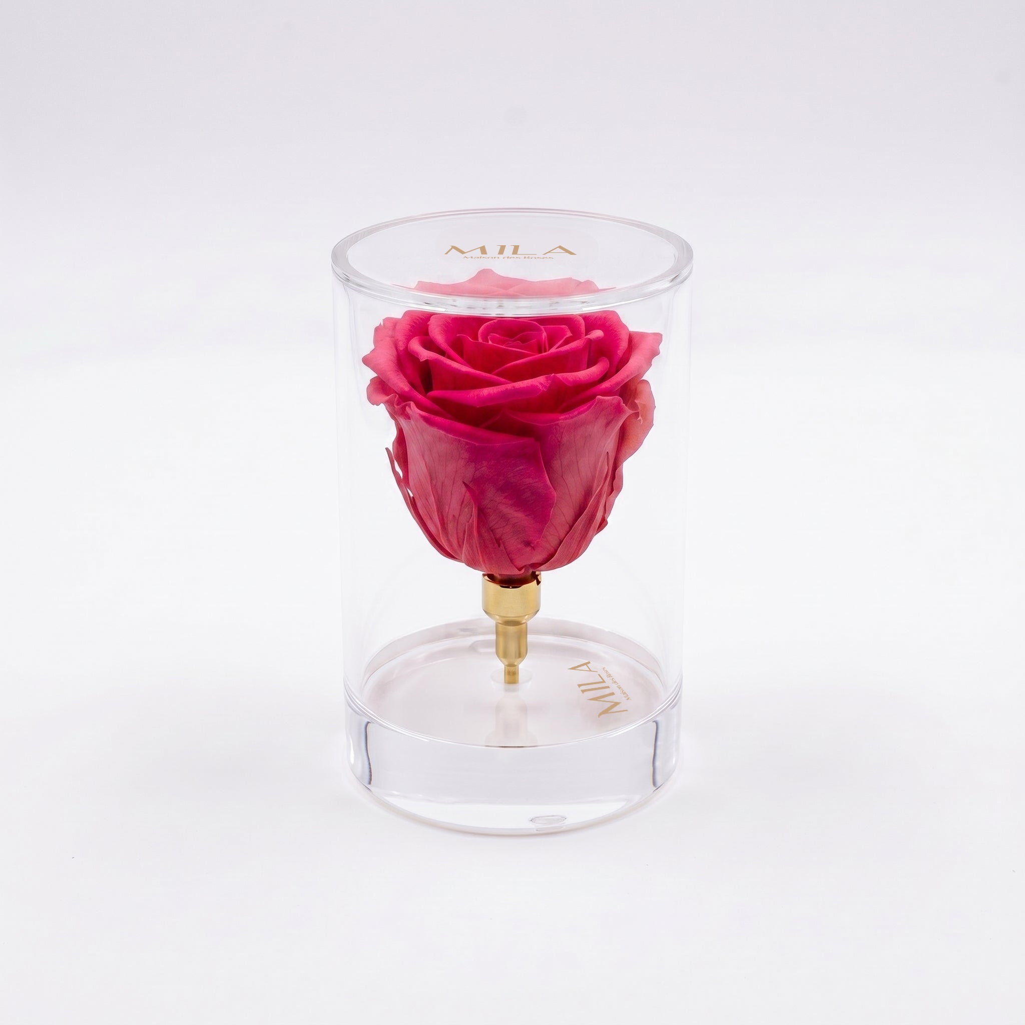 La Solitaire - MILA Maison Des Roses