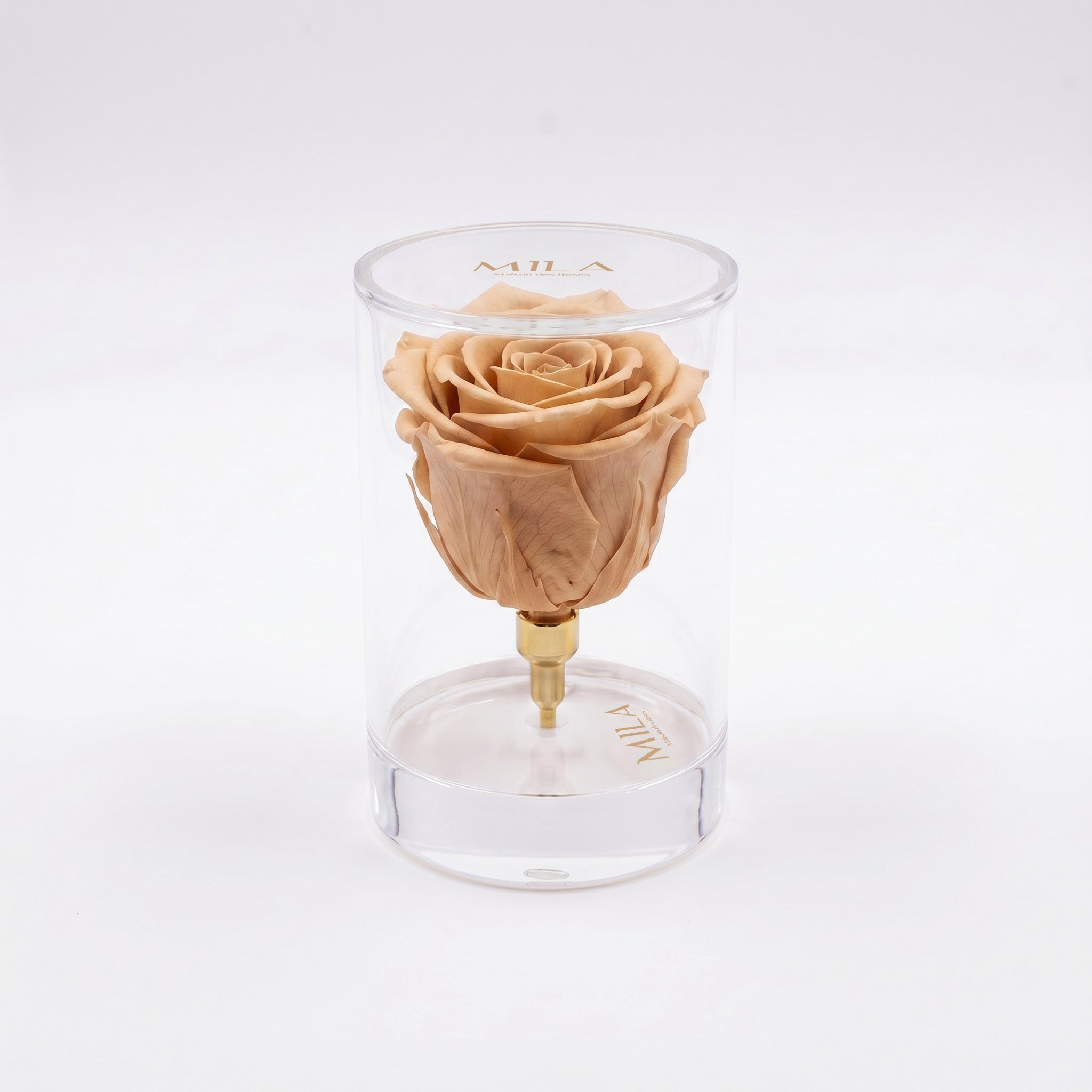 La Solitaire - MILA Maison Des Roses
