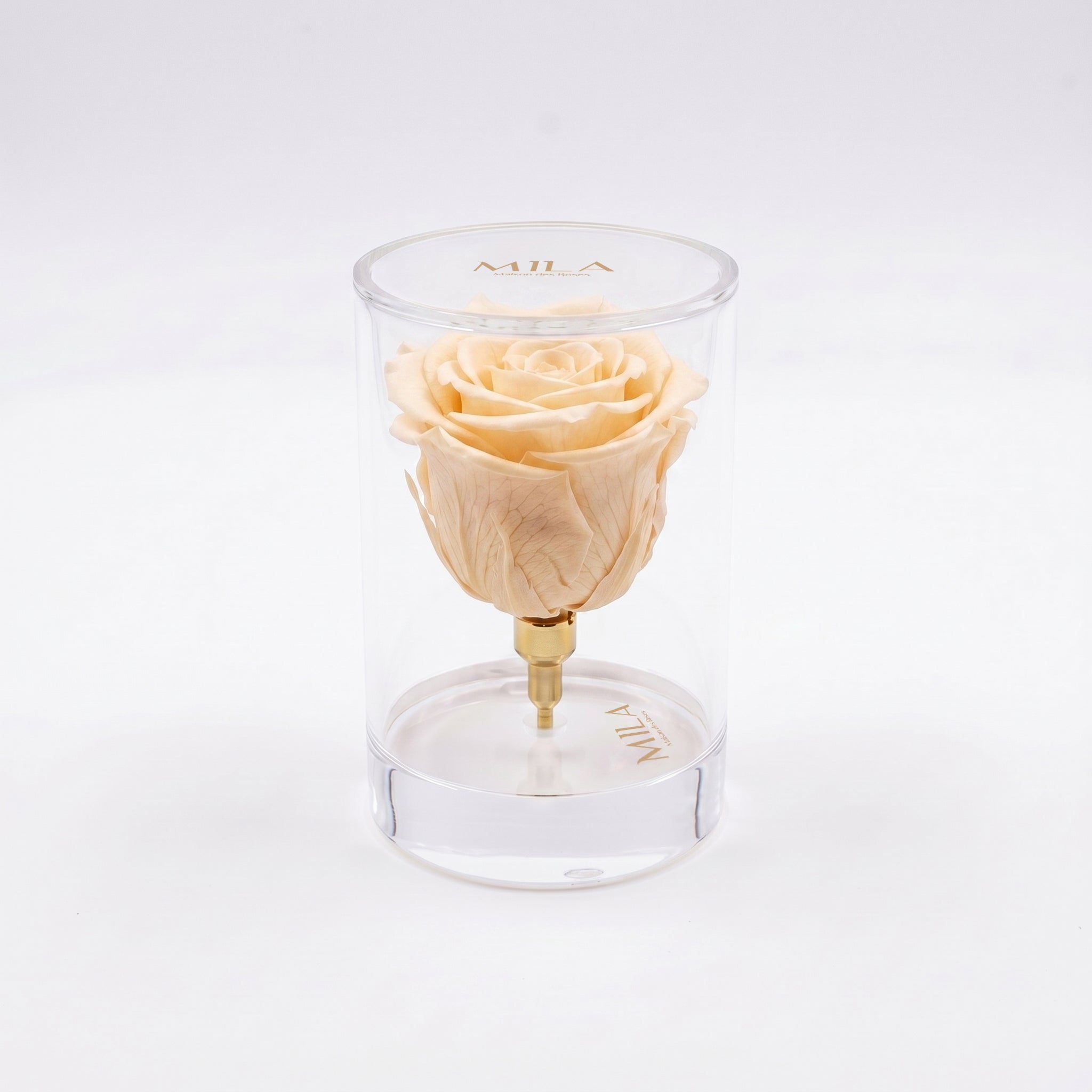 La Solitaire - MILA Maison Des Roses