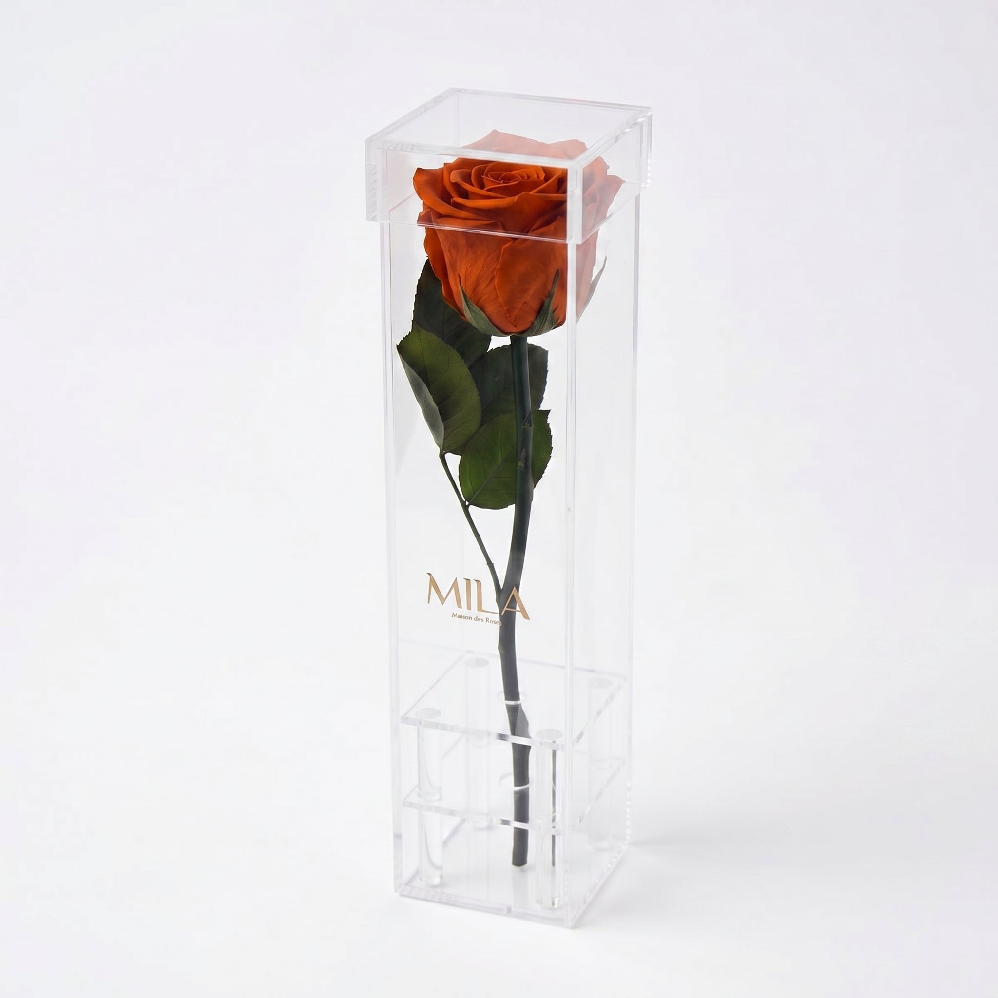 Le Monolithe - MILA Maison Des Roses