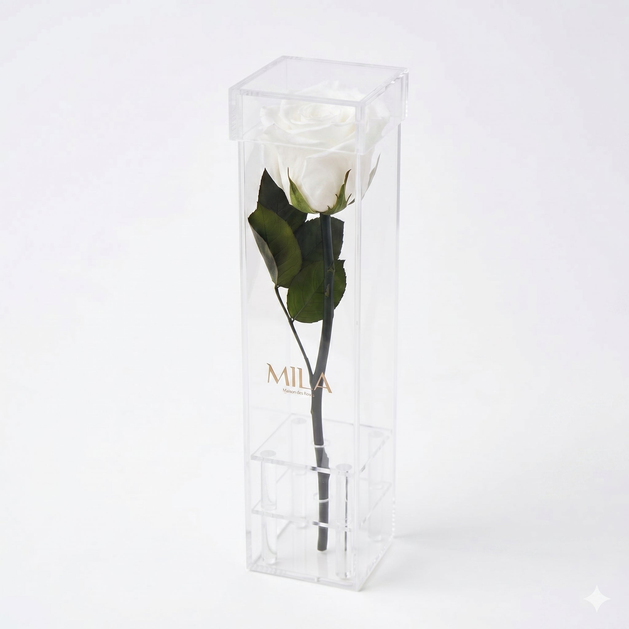Le Monolithe - MILA Maison Des Roses