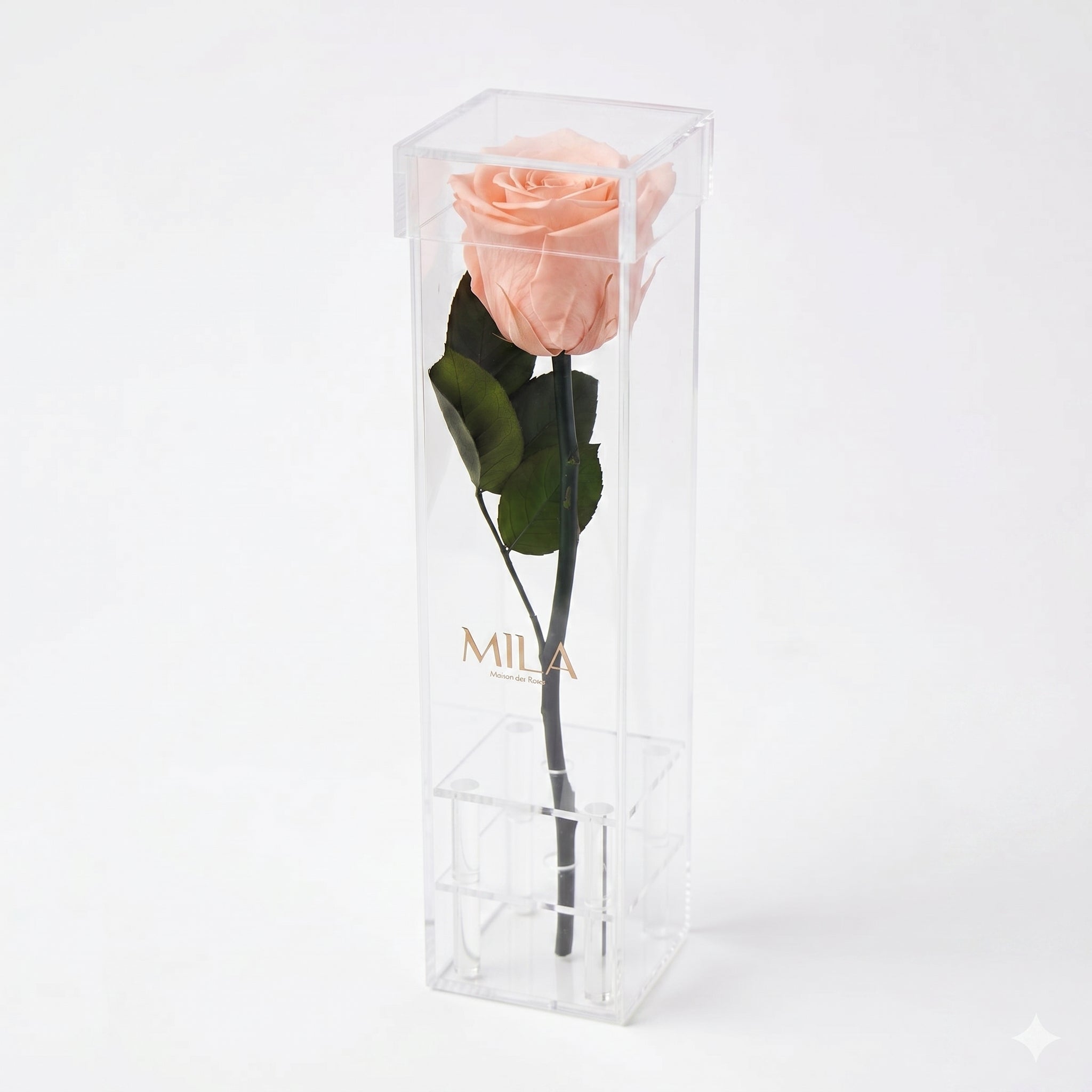 Le Monolithe - MILA Maison Des Roses