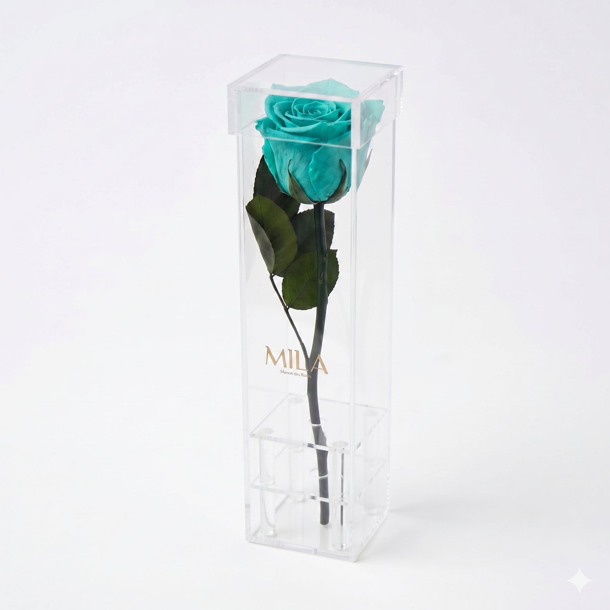Le Monolithe - MILA Maison Des Roses