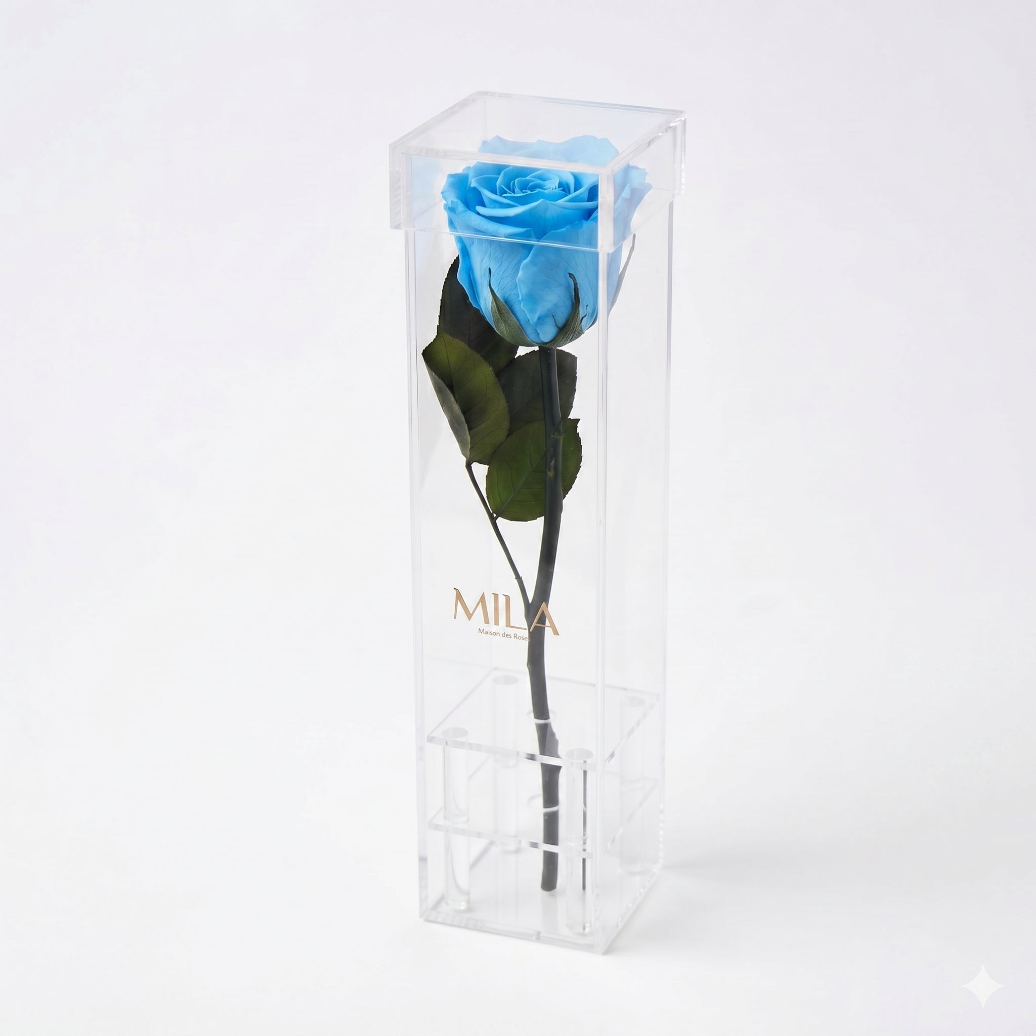 Le Monolithe - MILA Maison Des Roses