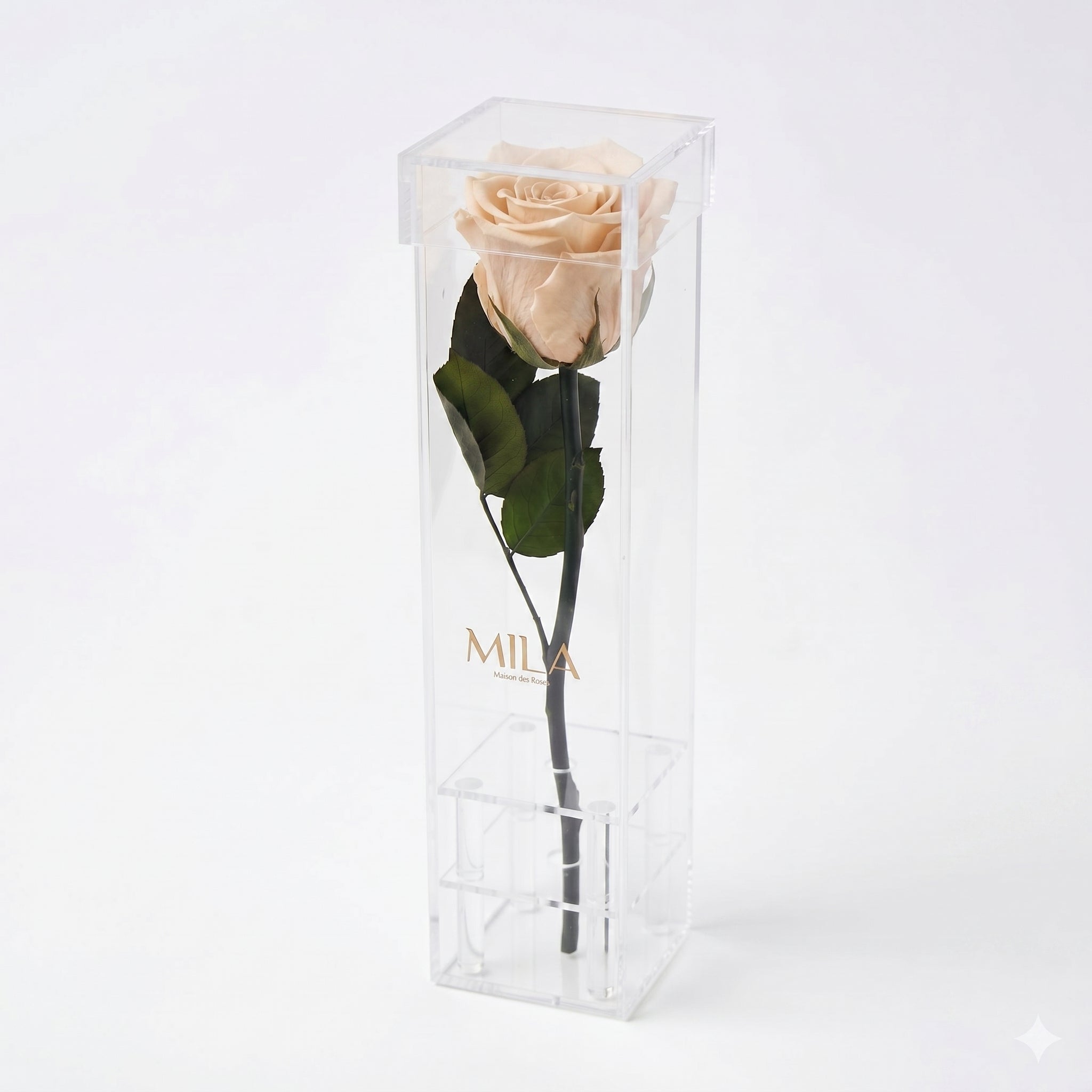Le Monolithe - MILA Maison Des Roses