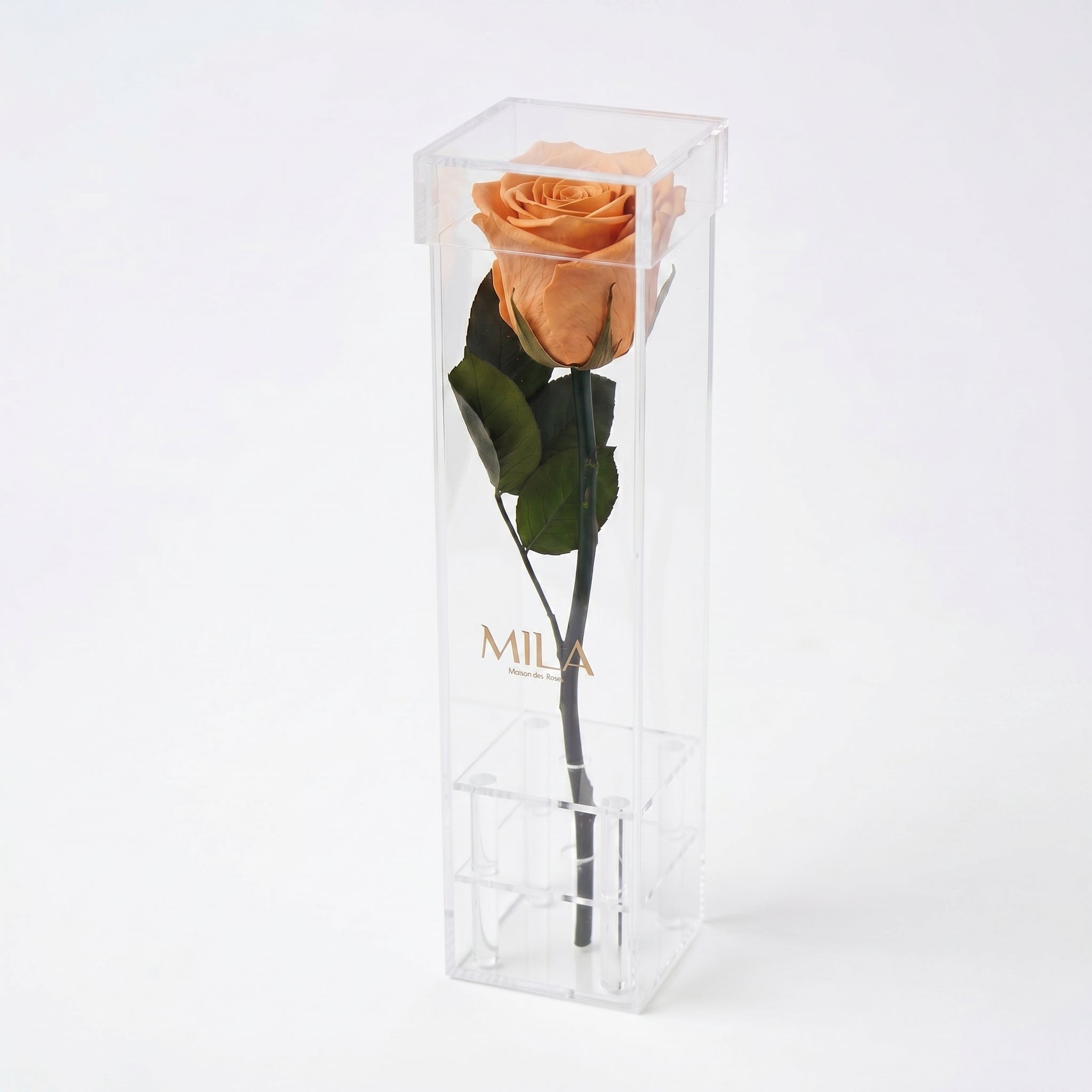Le Monolithe - MILA Maison Des Roses