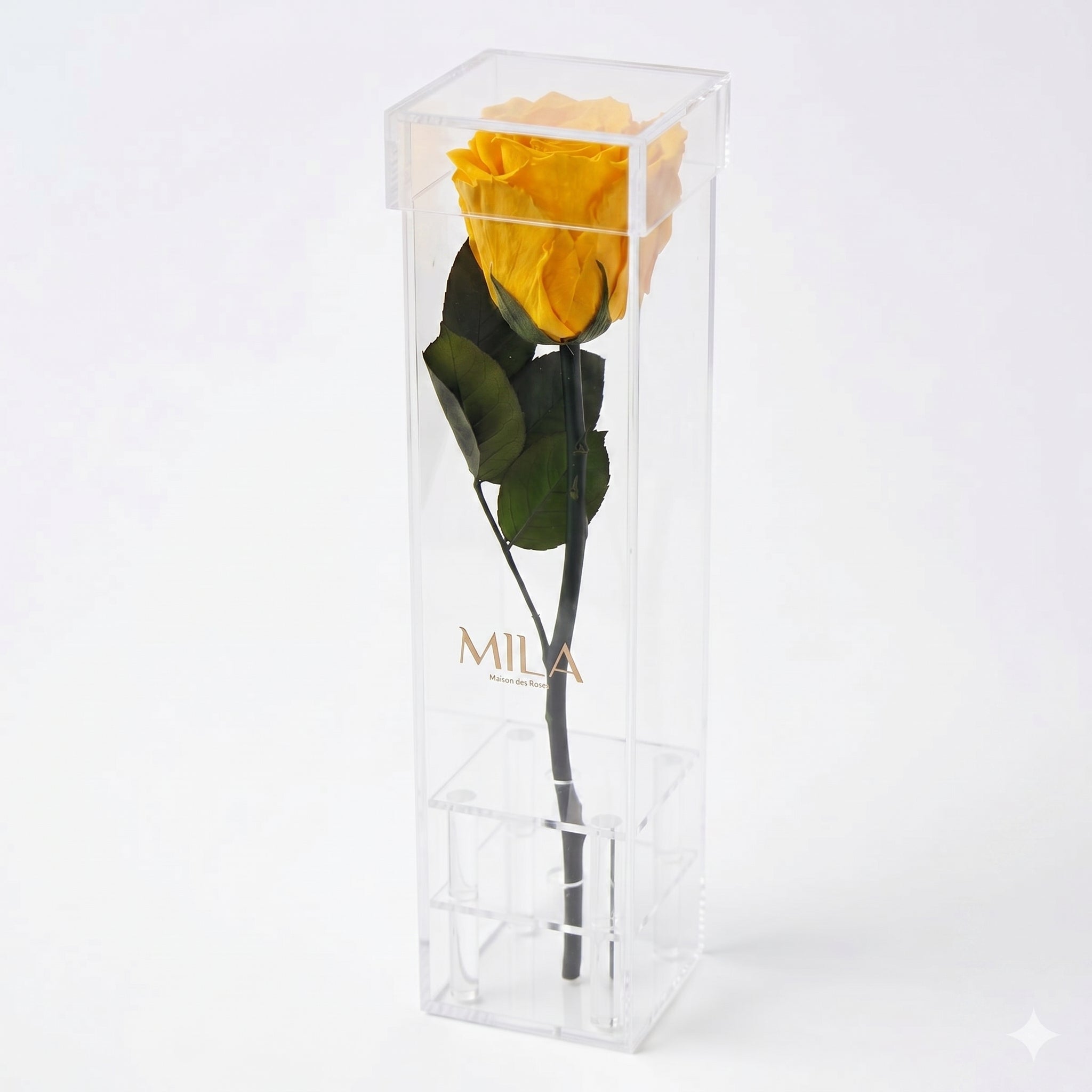 Le Monolithe - MILA Maison Des Roses