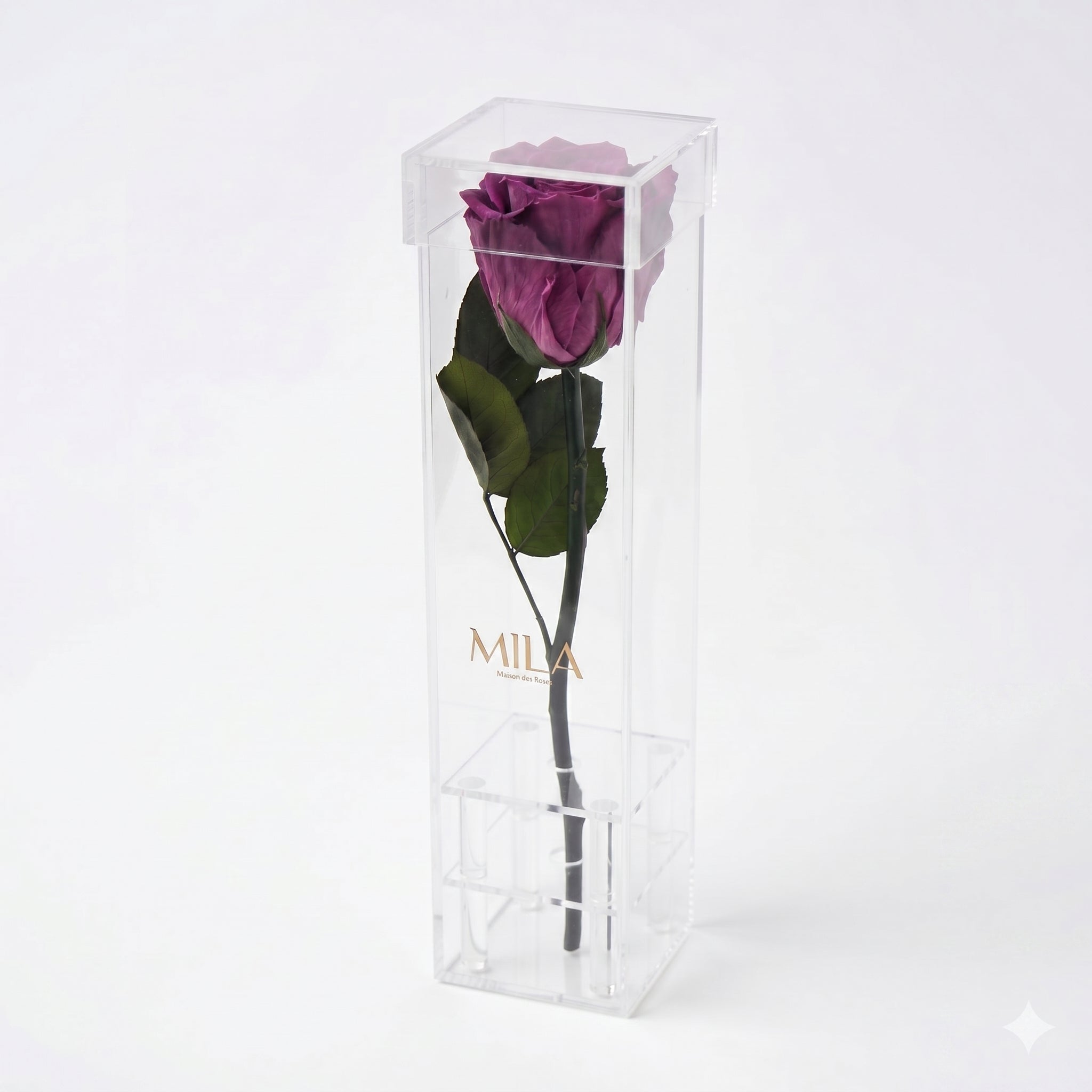 Le Monolithe - MILA Maison Des Roses