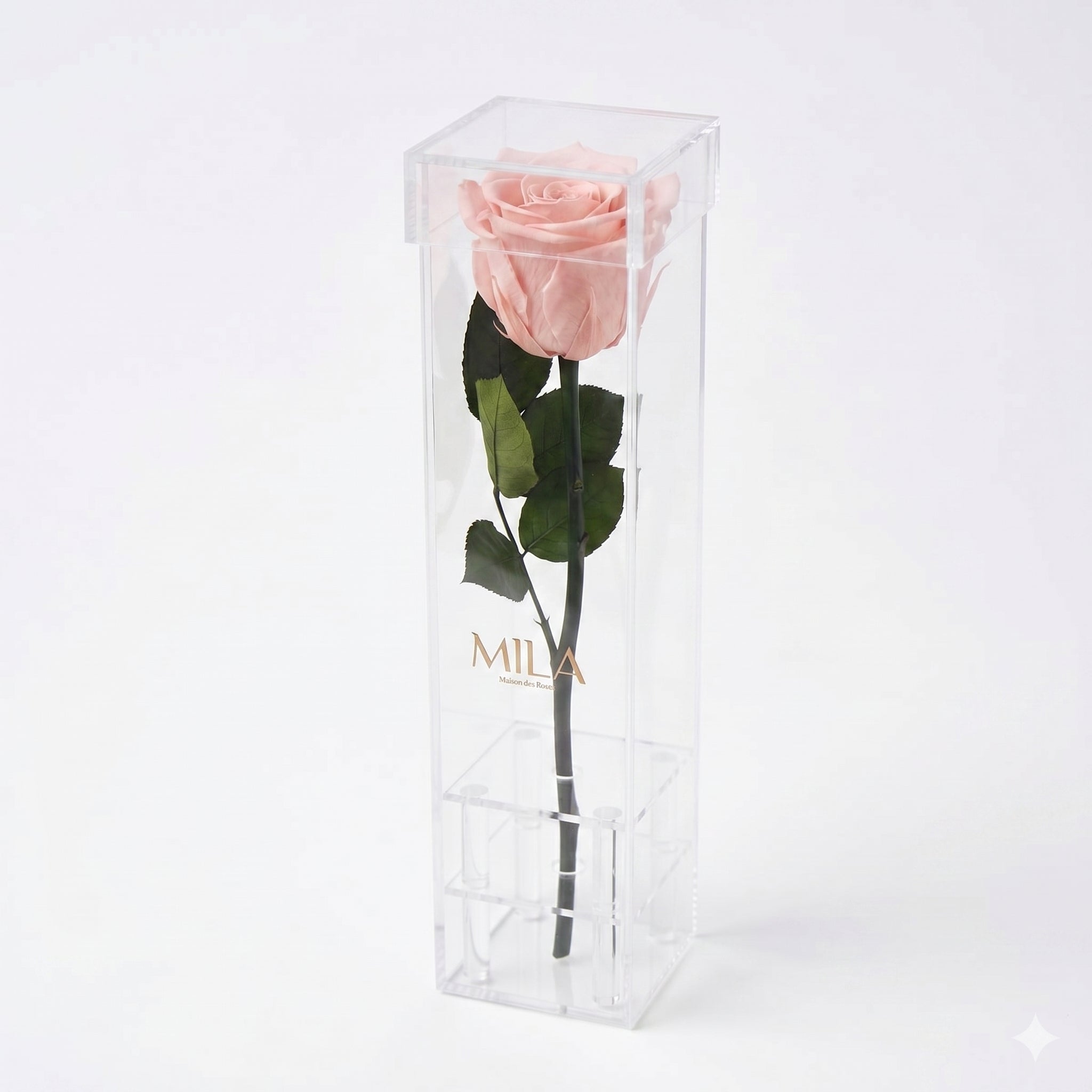 Le Monolithe - MILA Maison Des Roses