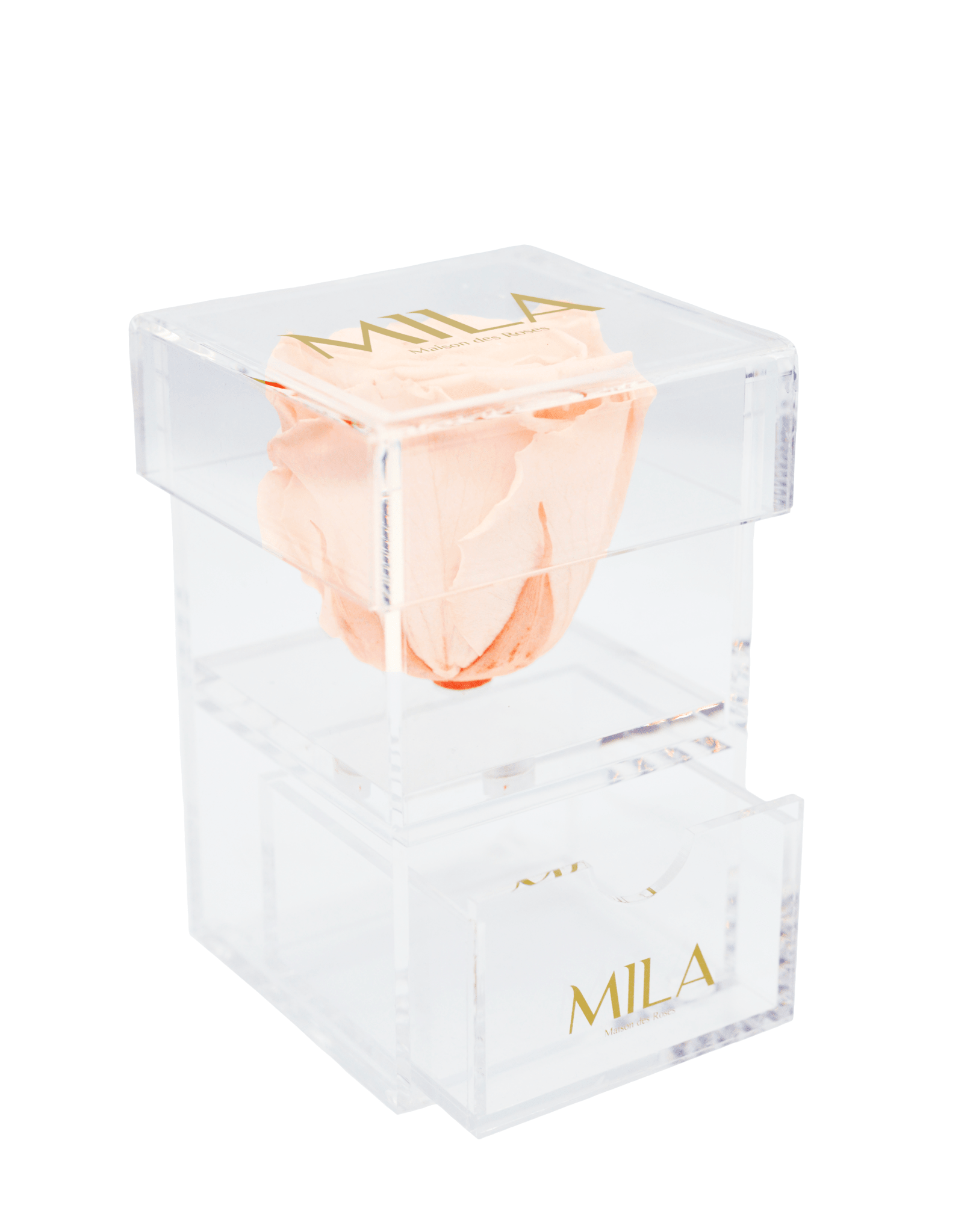 Mila Acrylic Baby Drawer - Mila Rose