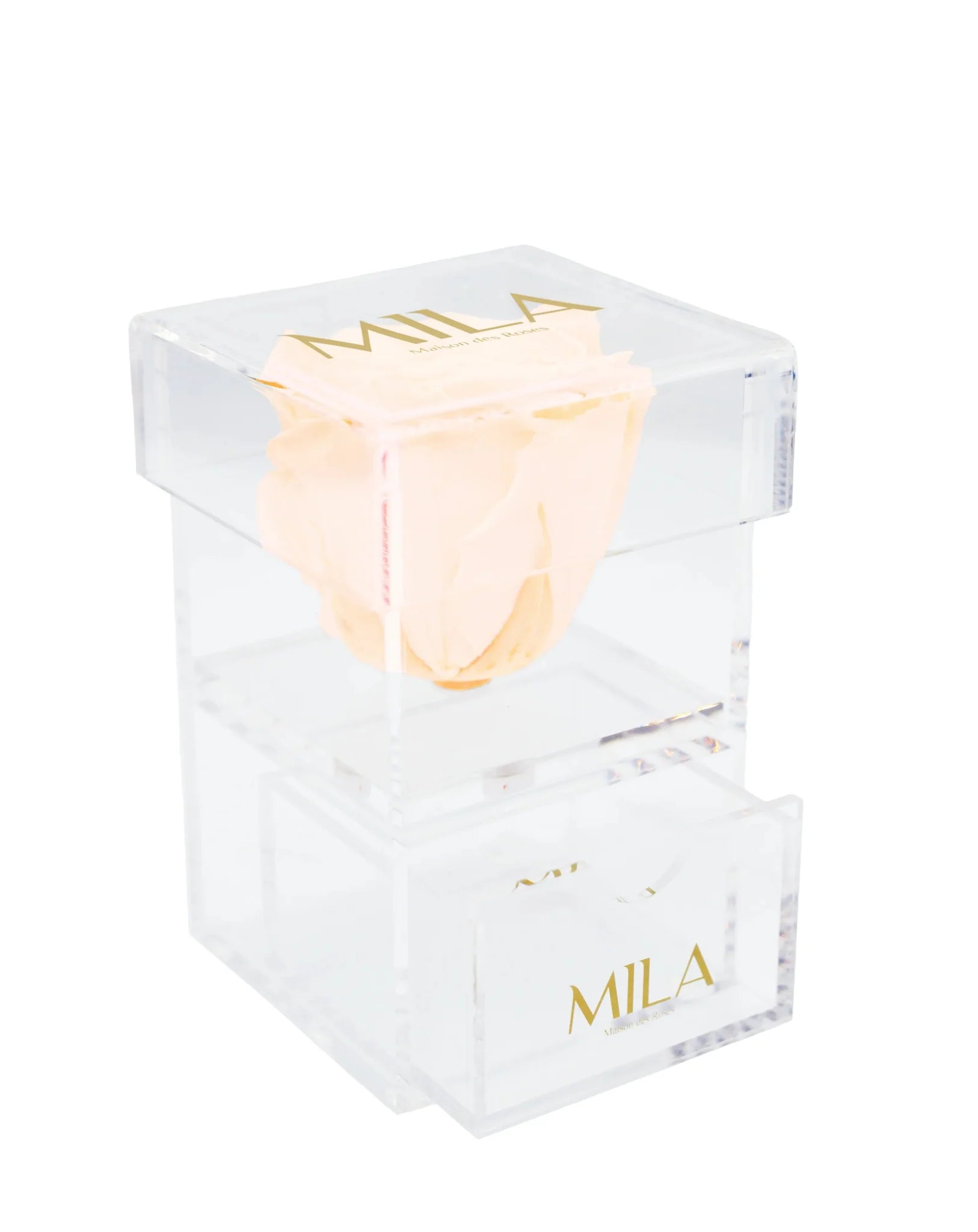 Mila Acrylic Baby Drawer - Mila Rose