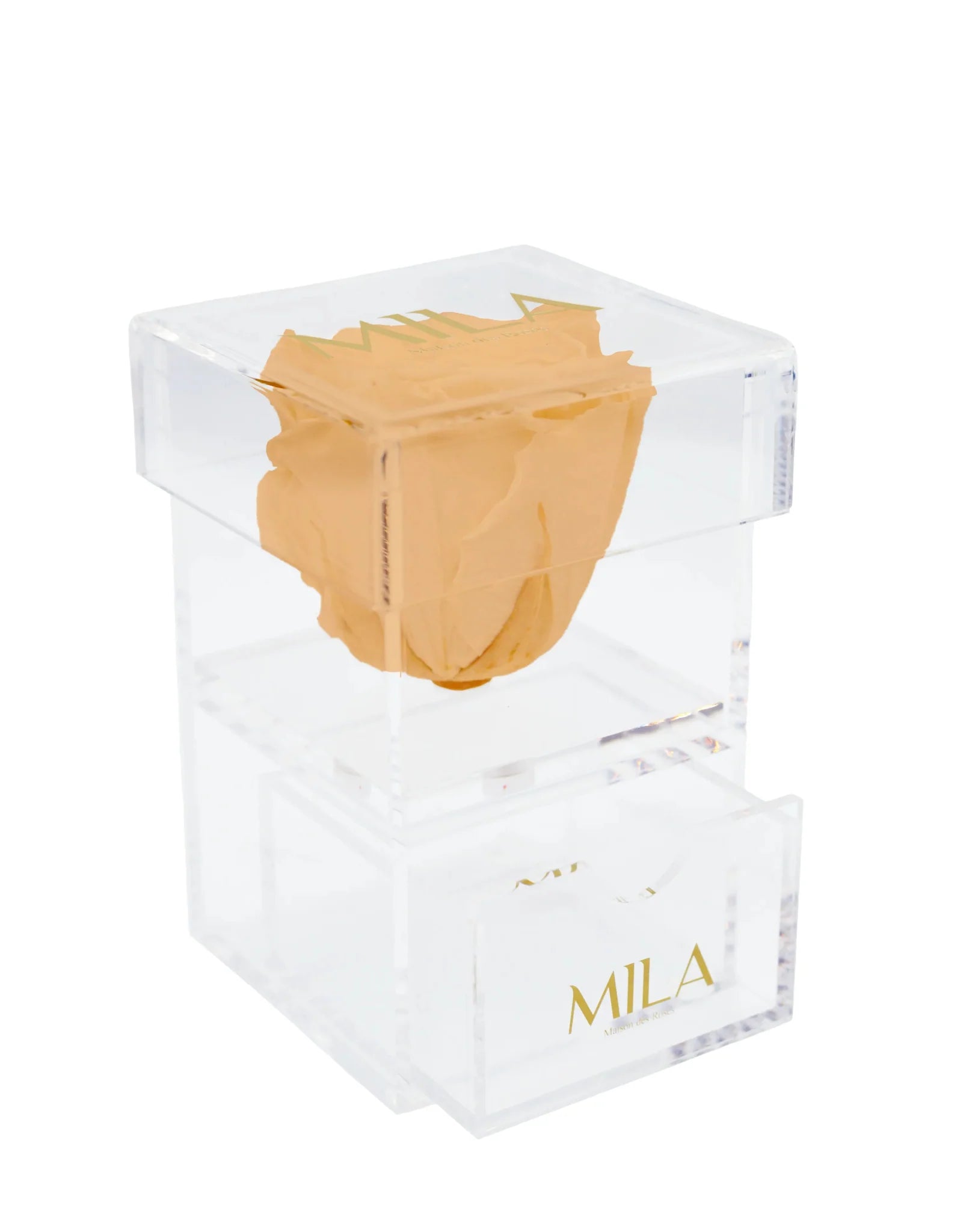 Mila Acrylic Baby Drawer - Mila Rose